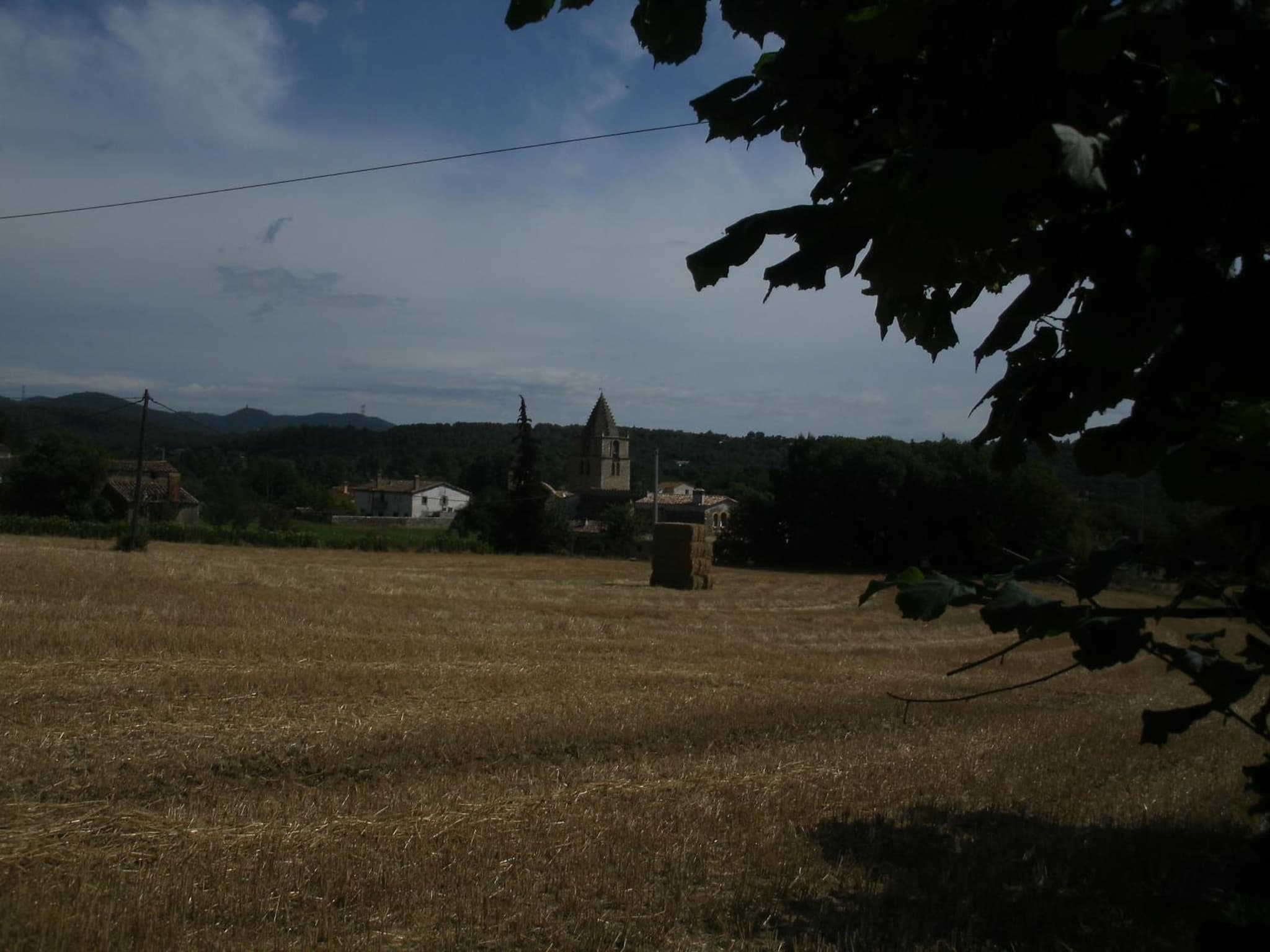 Mas Gibert photo 5
