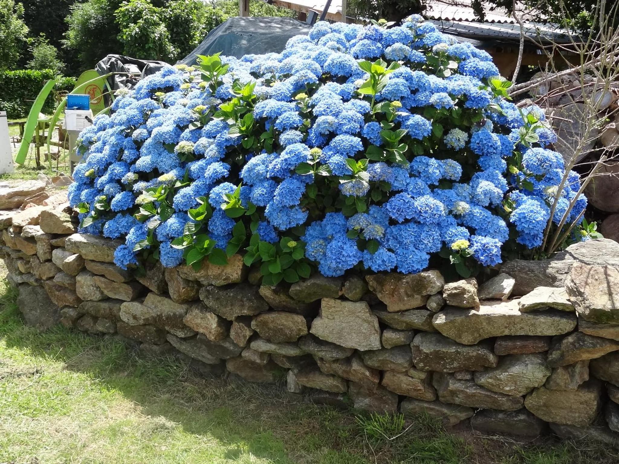 Roulotte Bigoudenne photo 4
