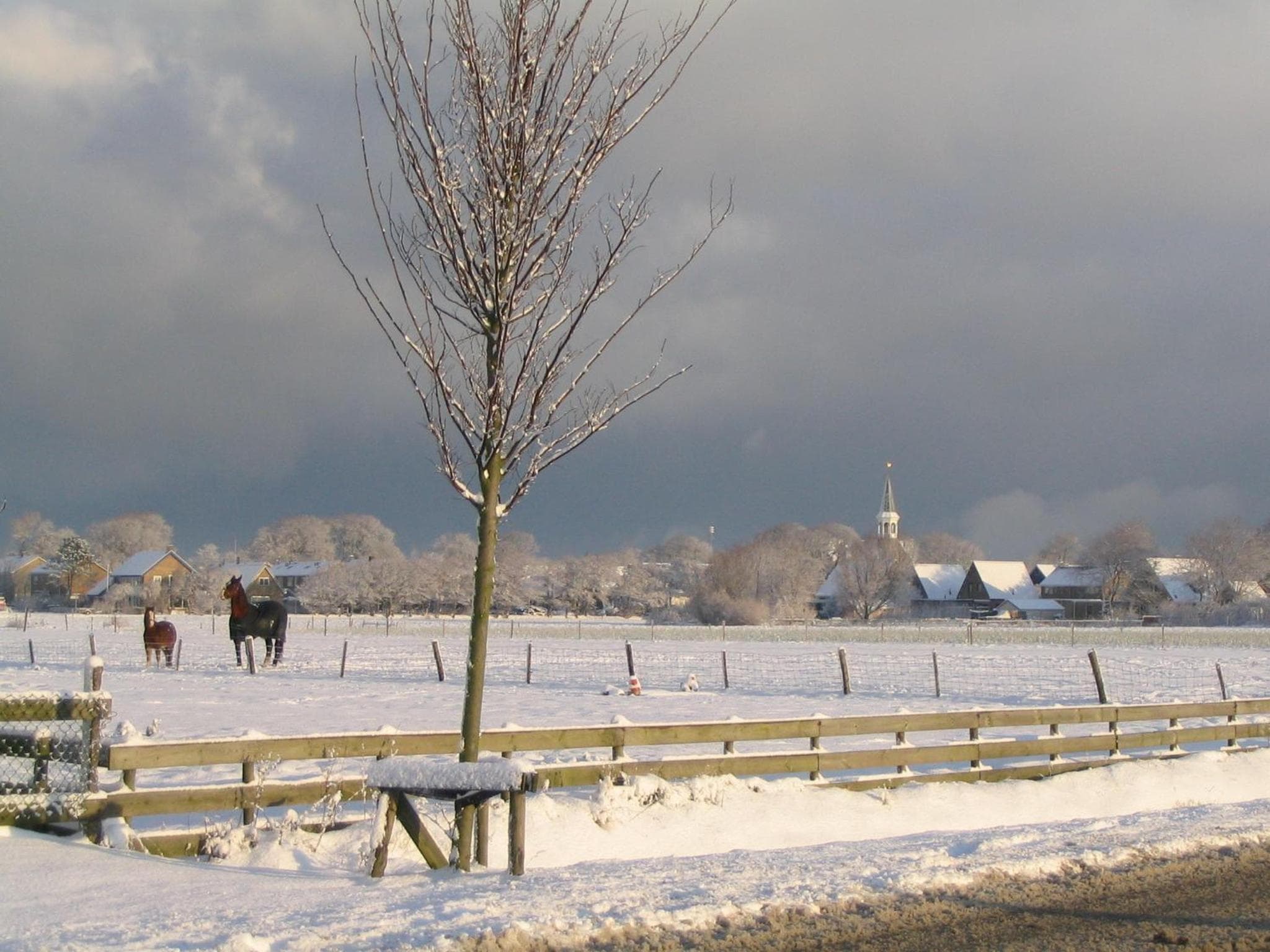 De Stormvogel photo 5