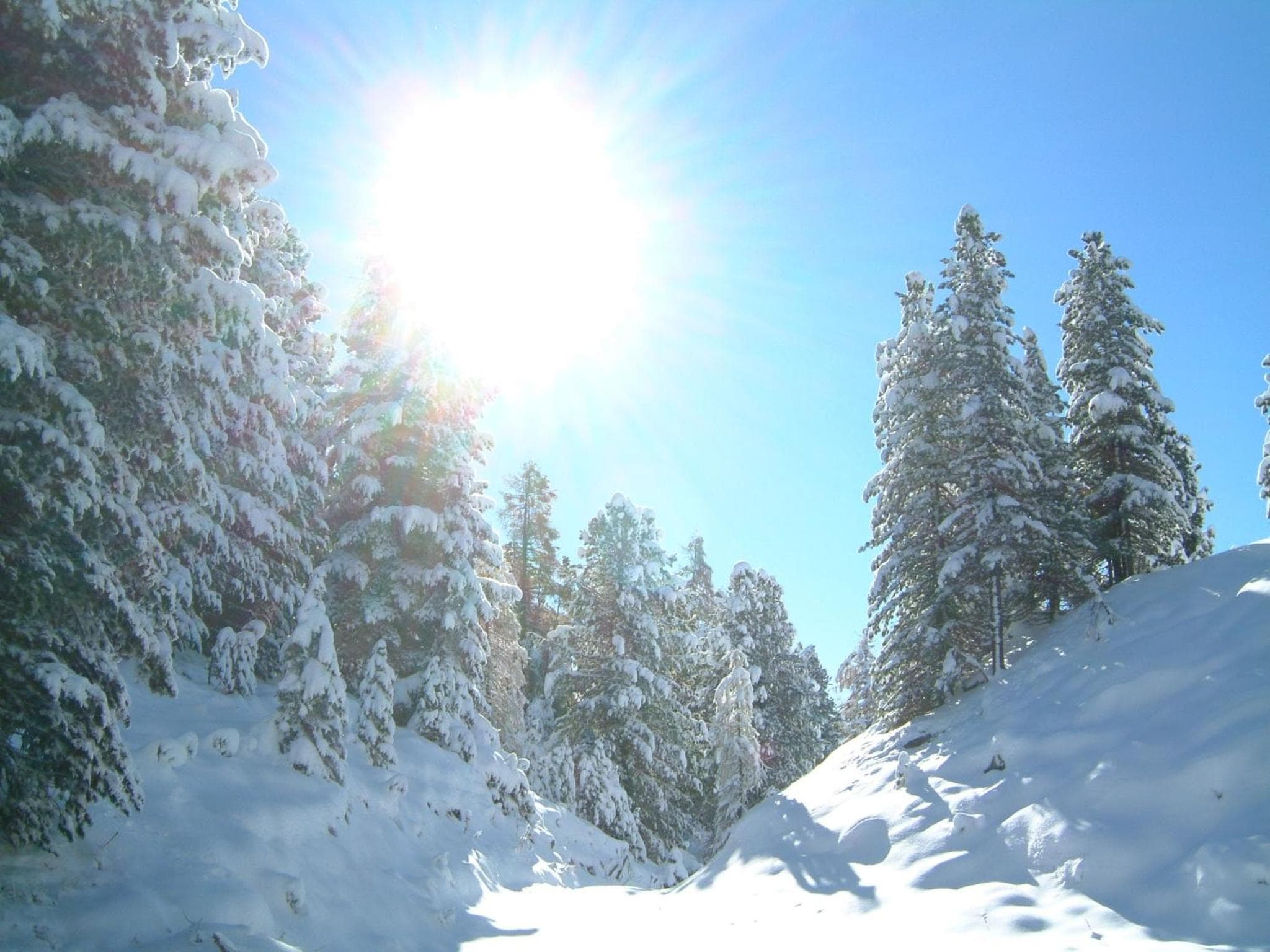 Ritas Alm photo 8