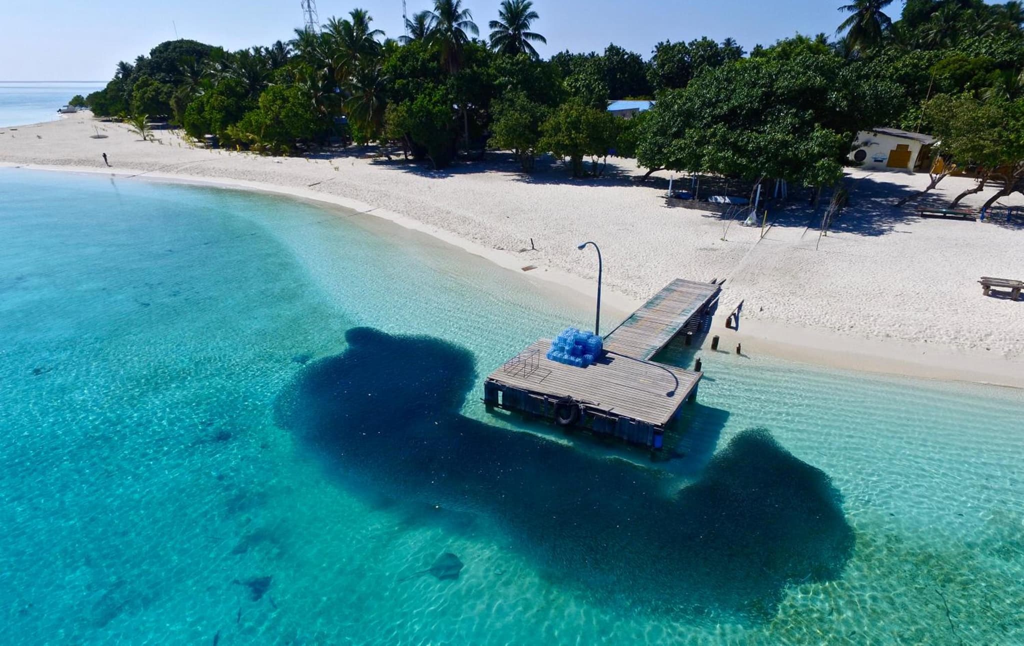 Luau Beach Inn, Maldives photo 5