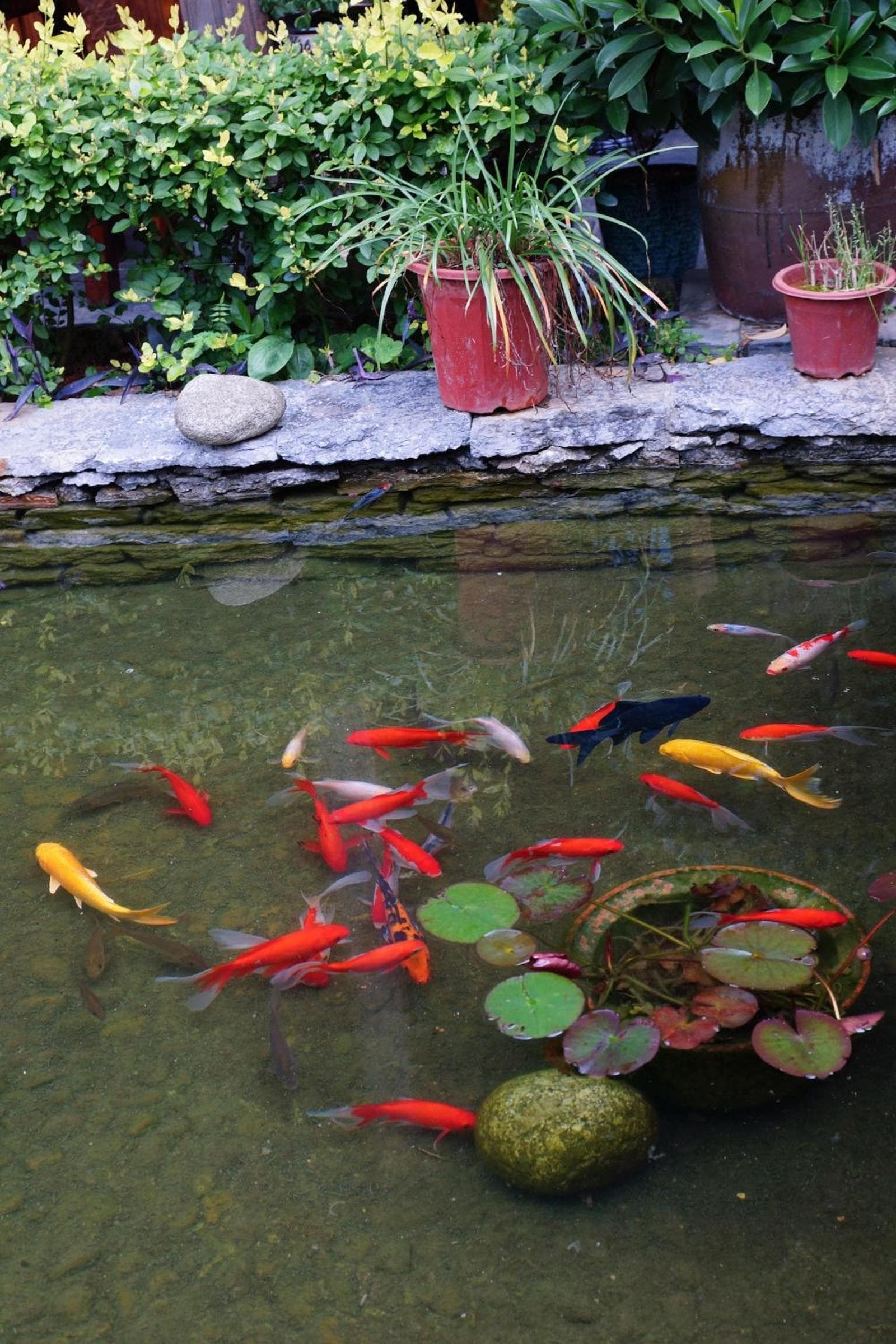 Yangshuo Mountain Nest Boutique Hotel photo 9