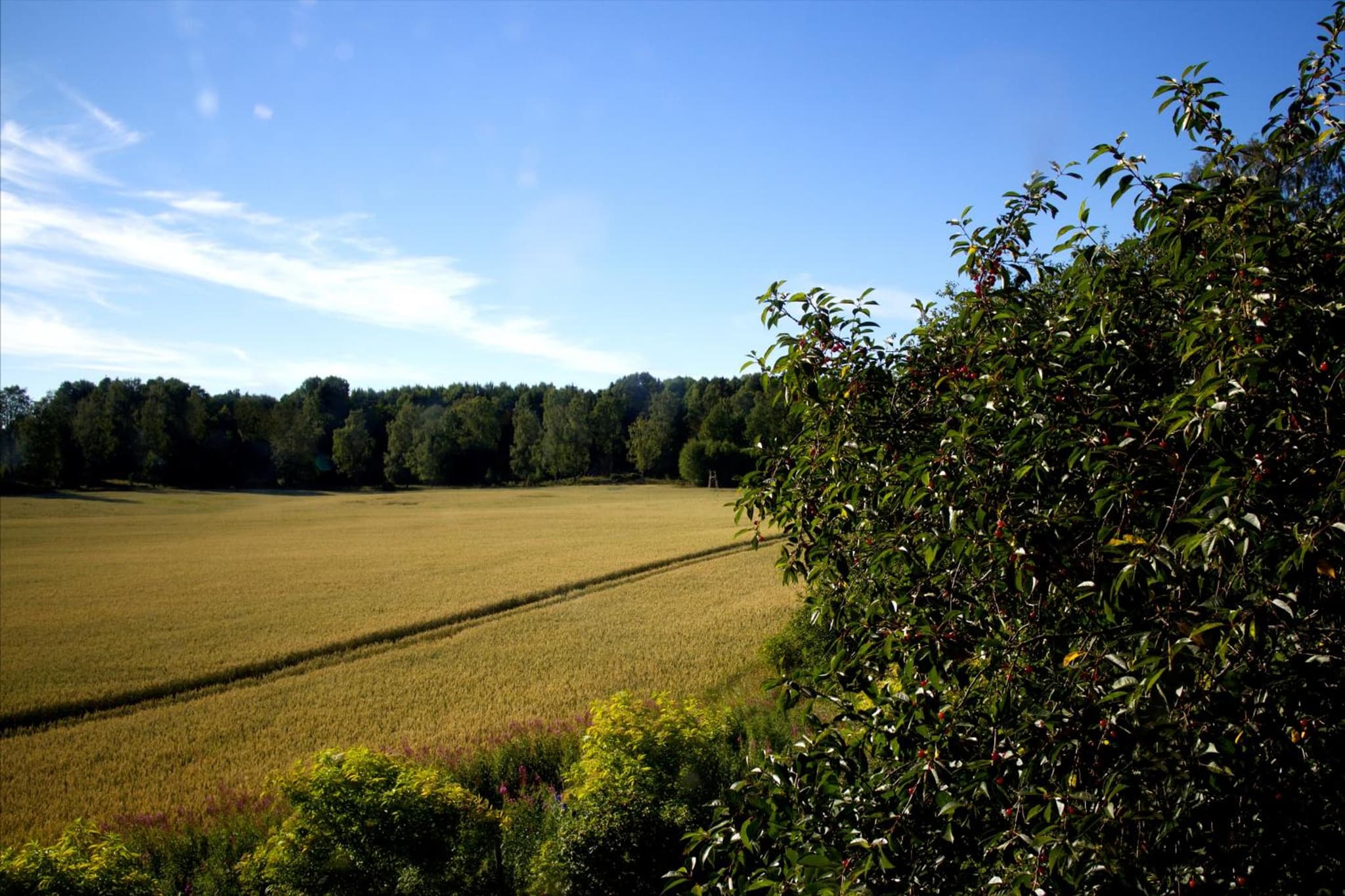 Pensionat Hogården photo 7