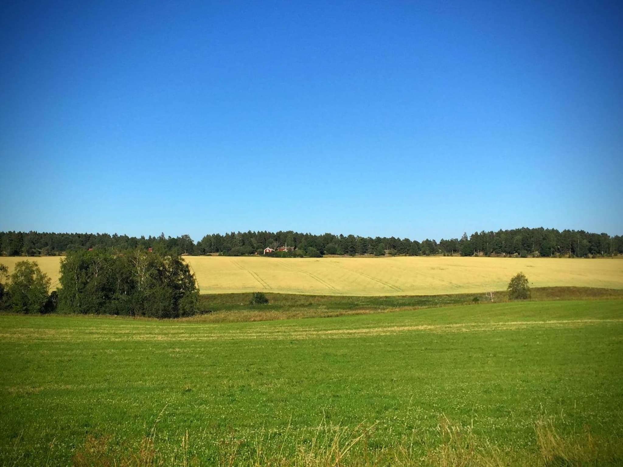 Pensionat Hogården photo 5