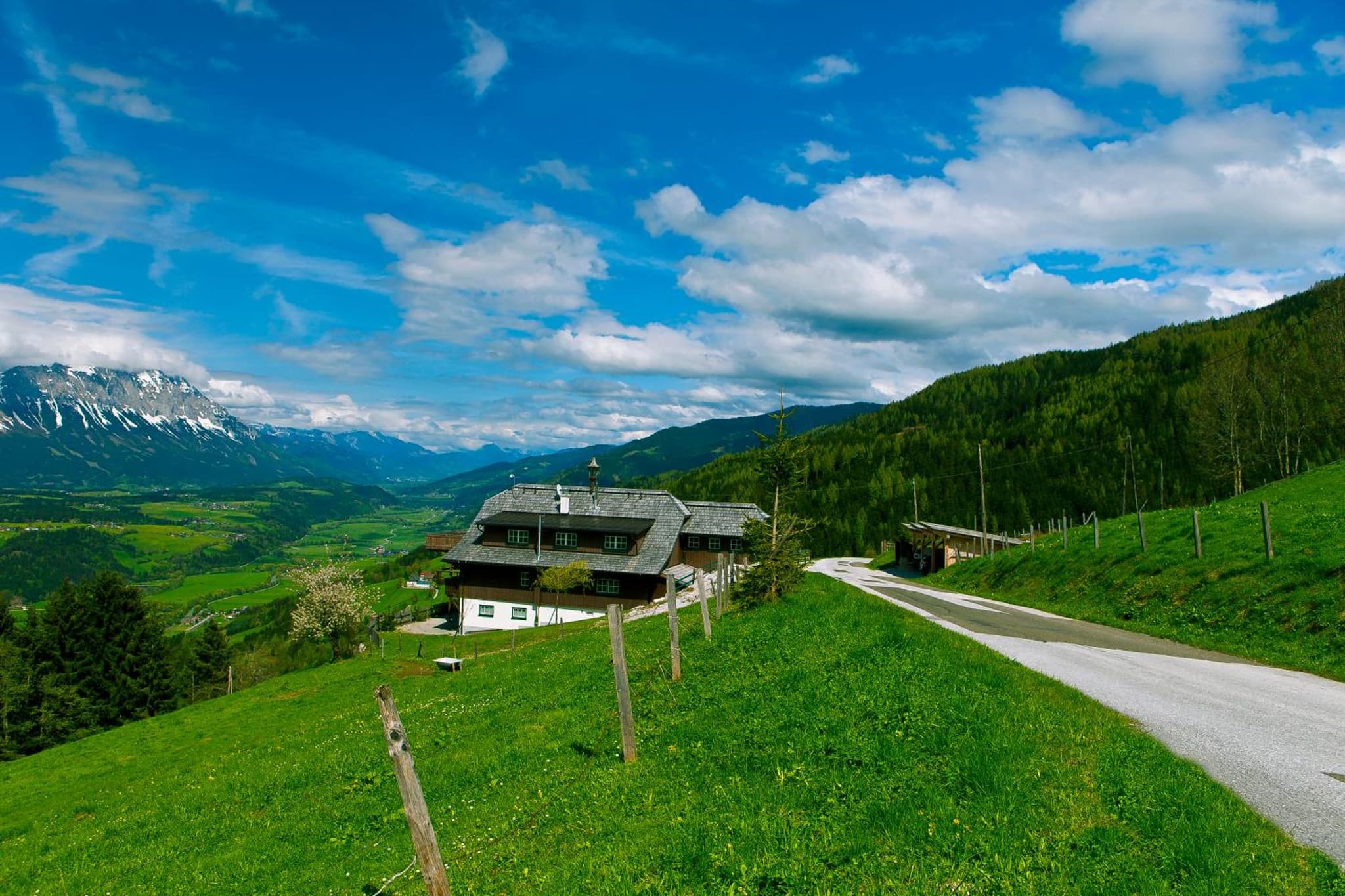 Sonnenalm Mountain Lodge photo 2