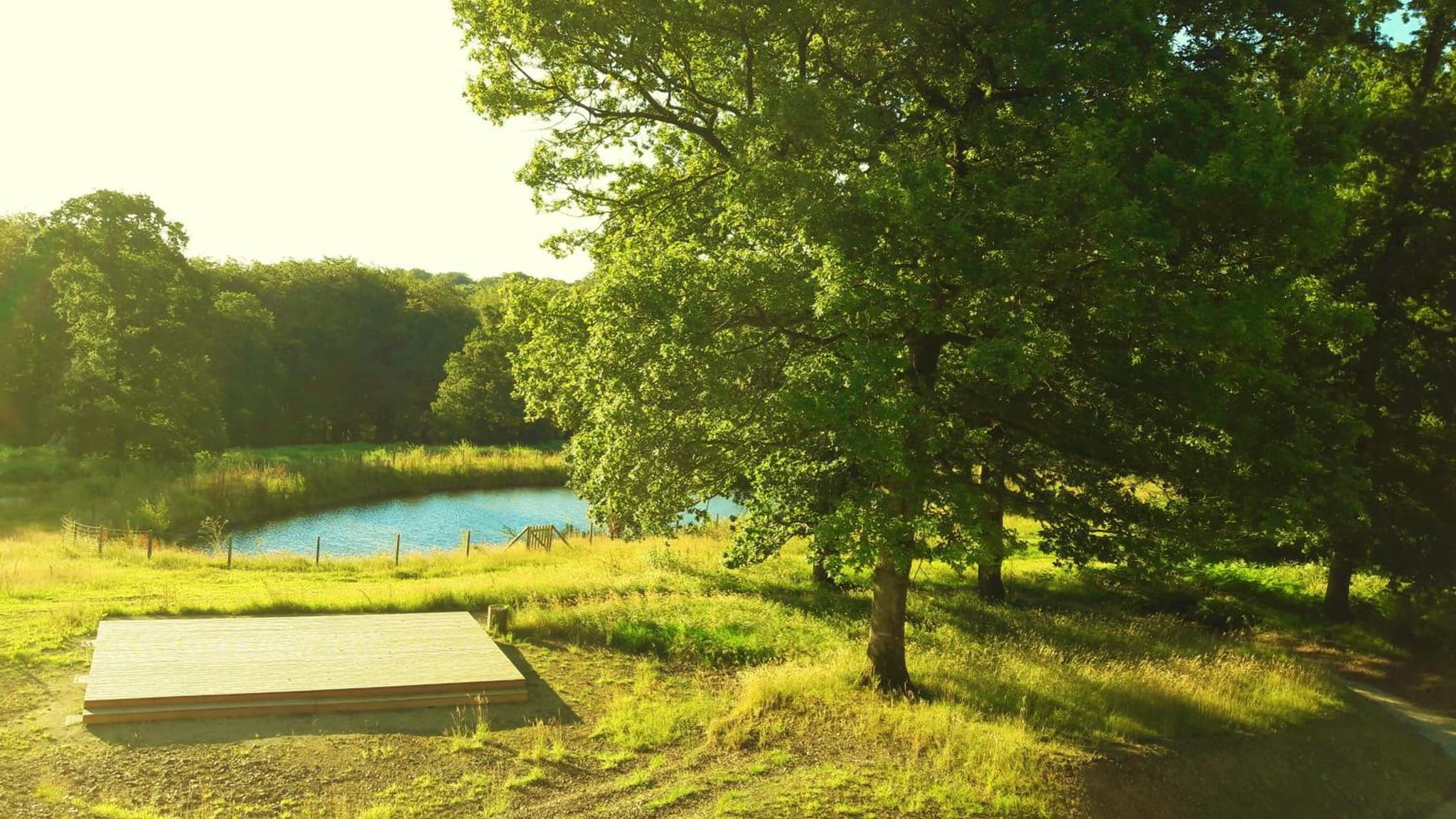 L'étape en forêt photo 6