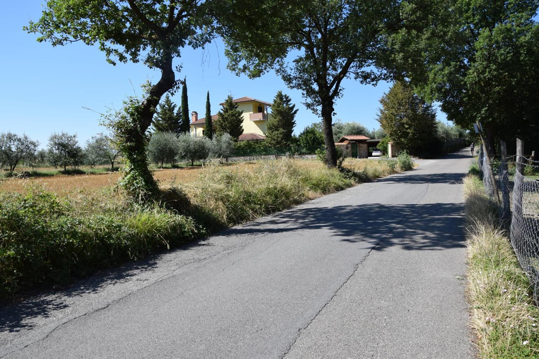 La Casa Nell'Oliveto Bed & Breakfast photo 6