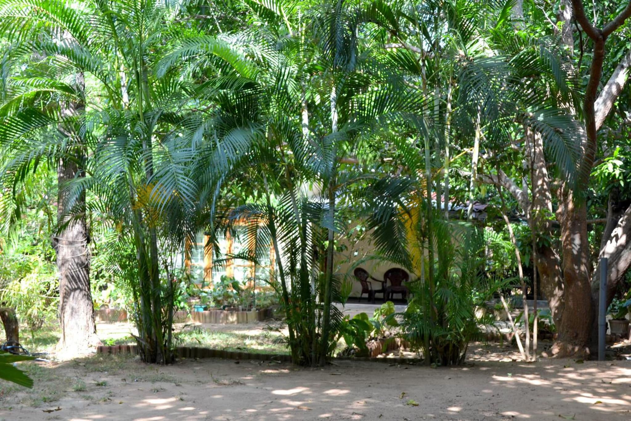 Sigiriya Freedom Lodge photo 5