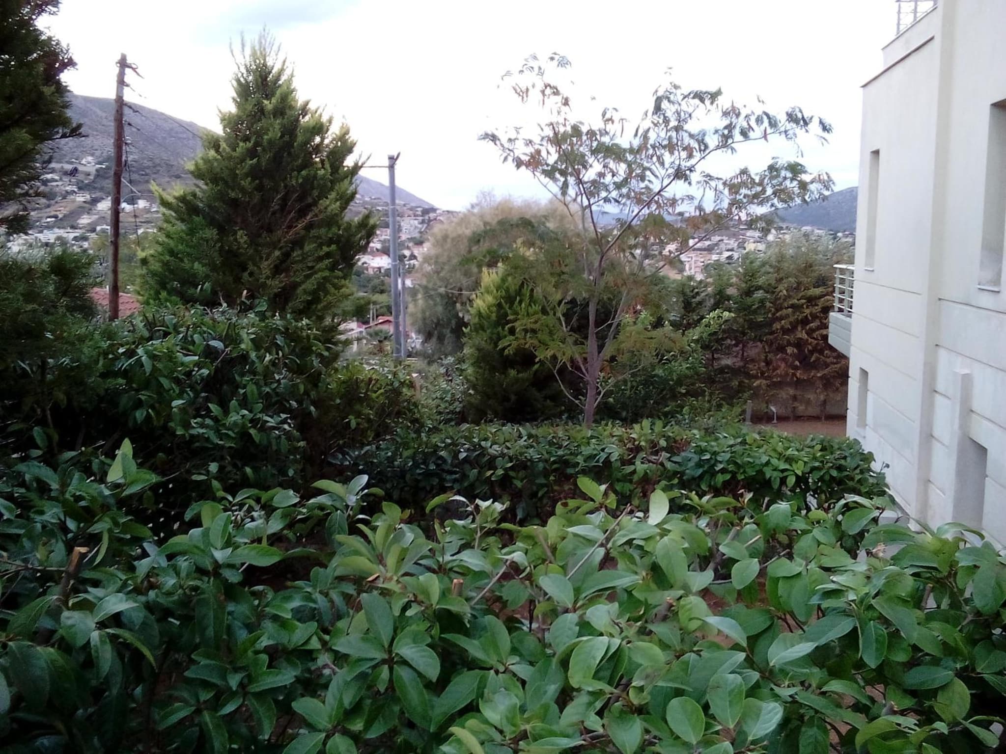 Harry´s Apartment photo 6