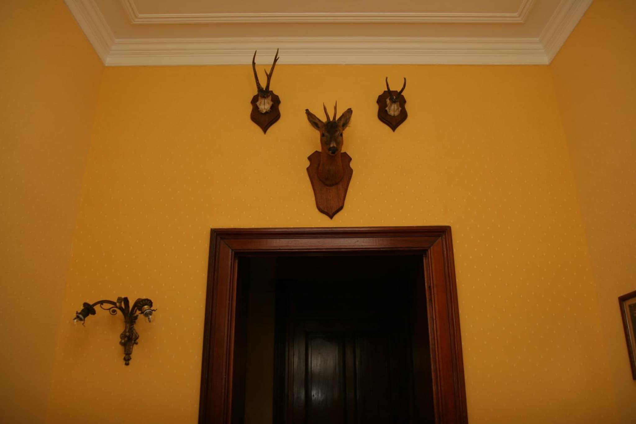 New-Castle photo 7