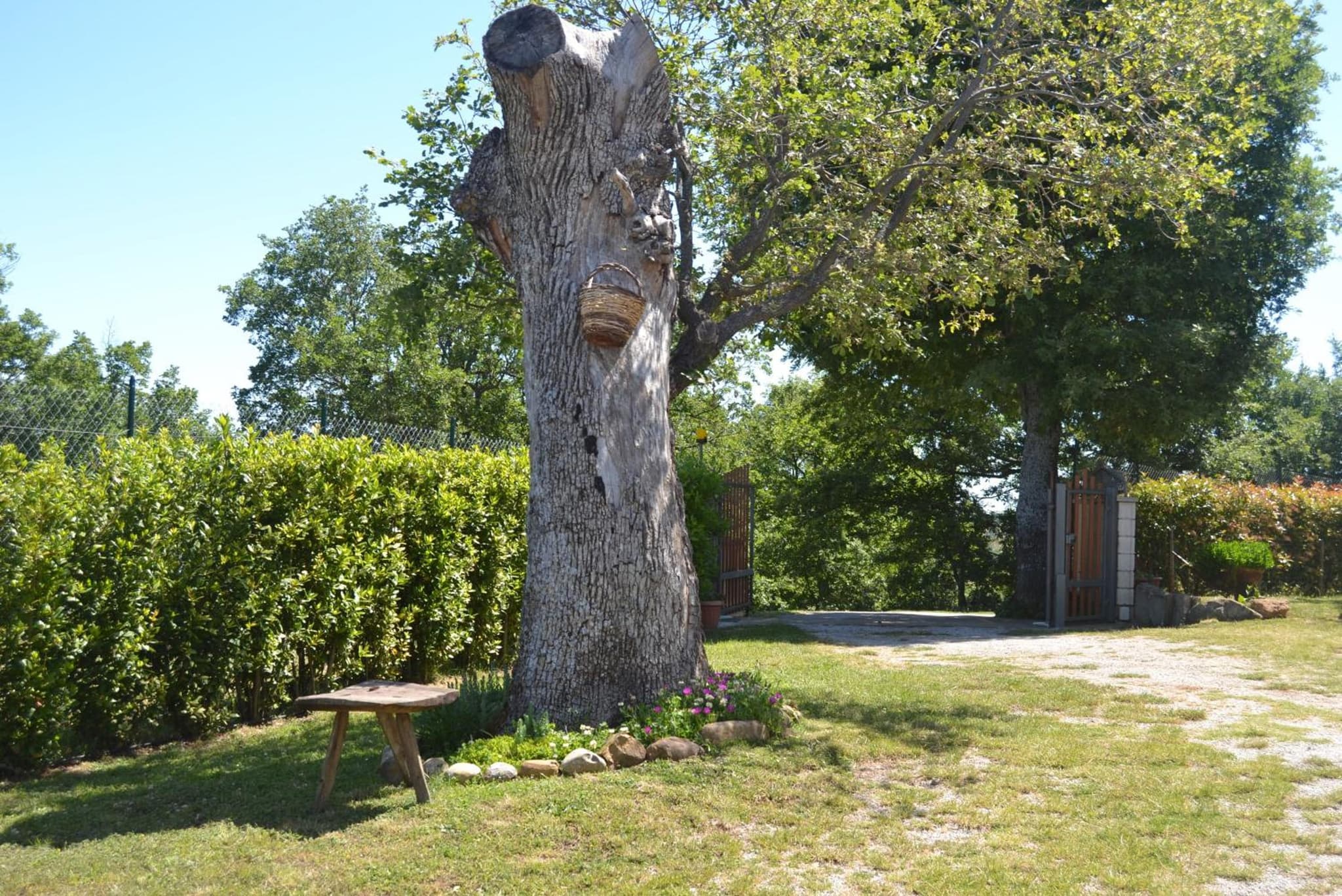 Al Bosco delle Api photo 3