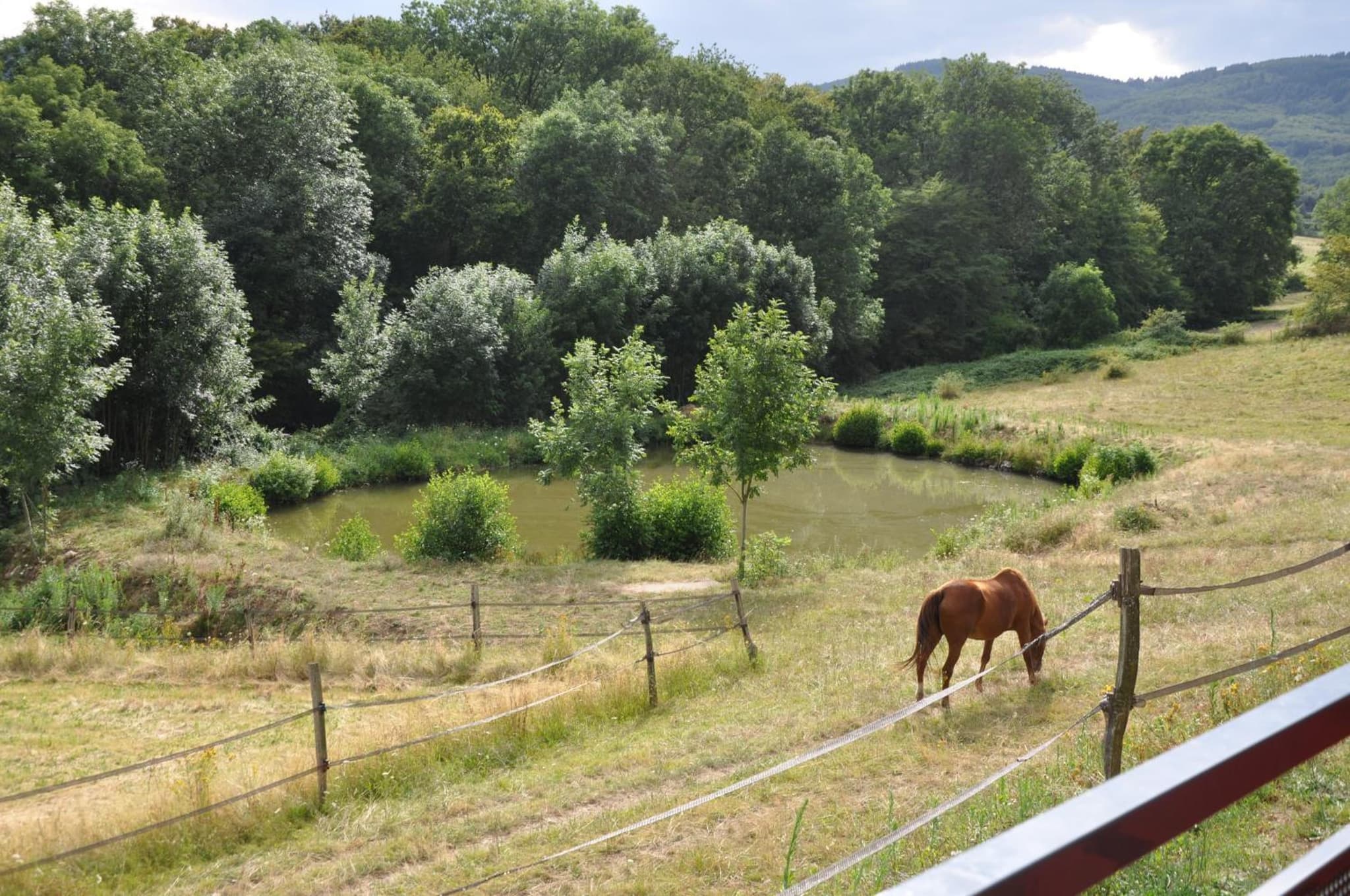 La Bergerie photo 6