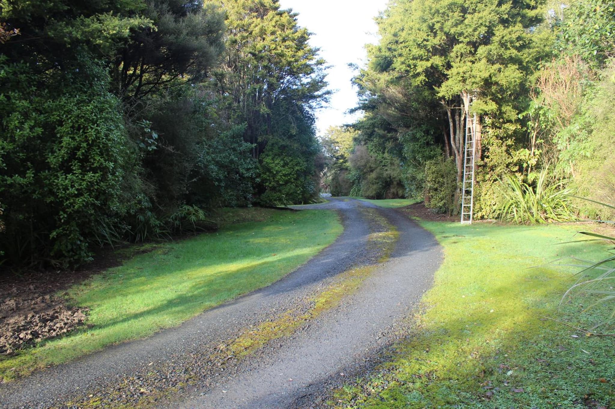 Tui Hideaway photo 5