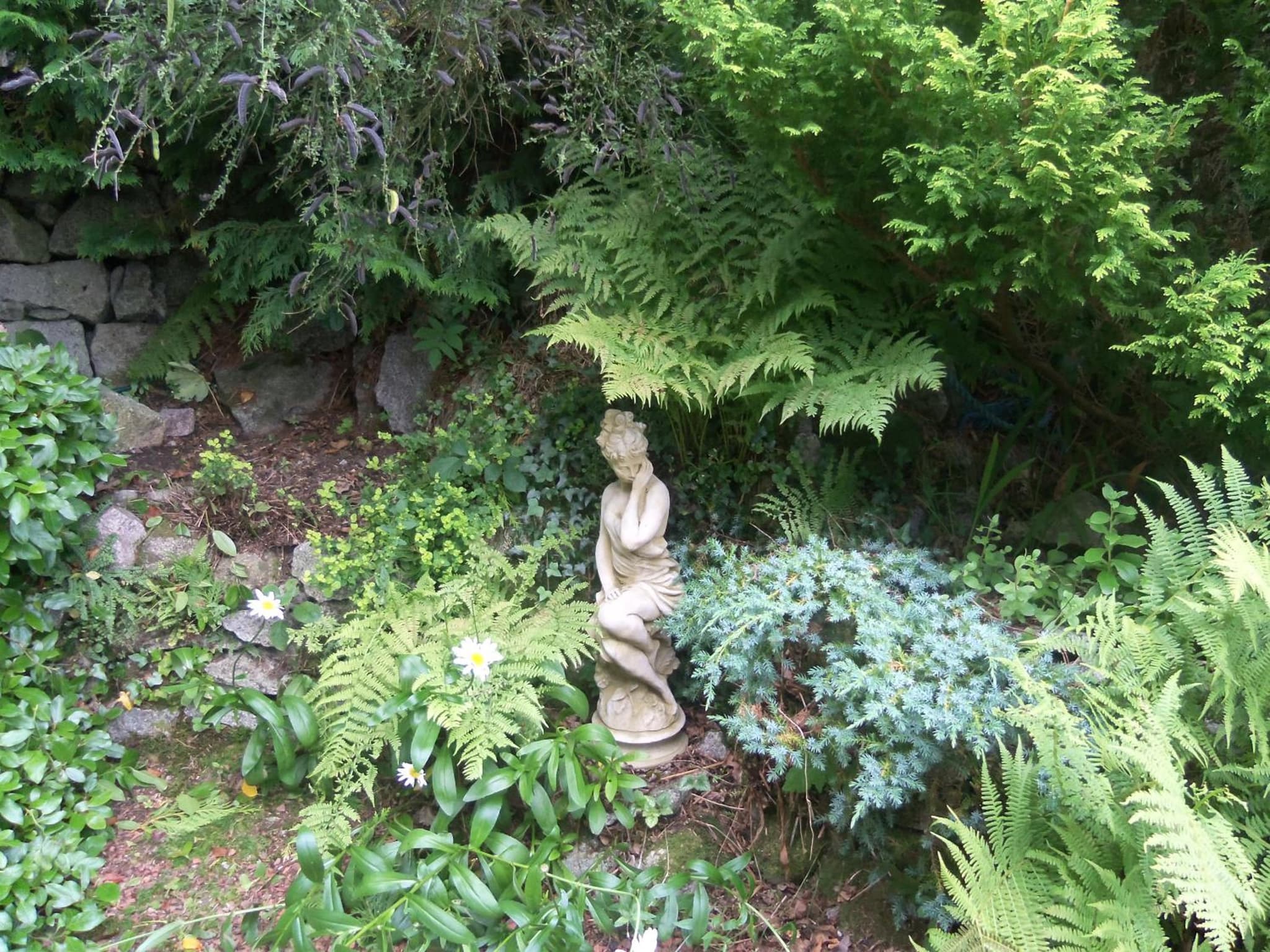 Craignair Cottage photo 5