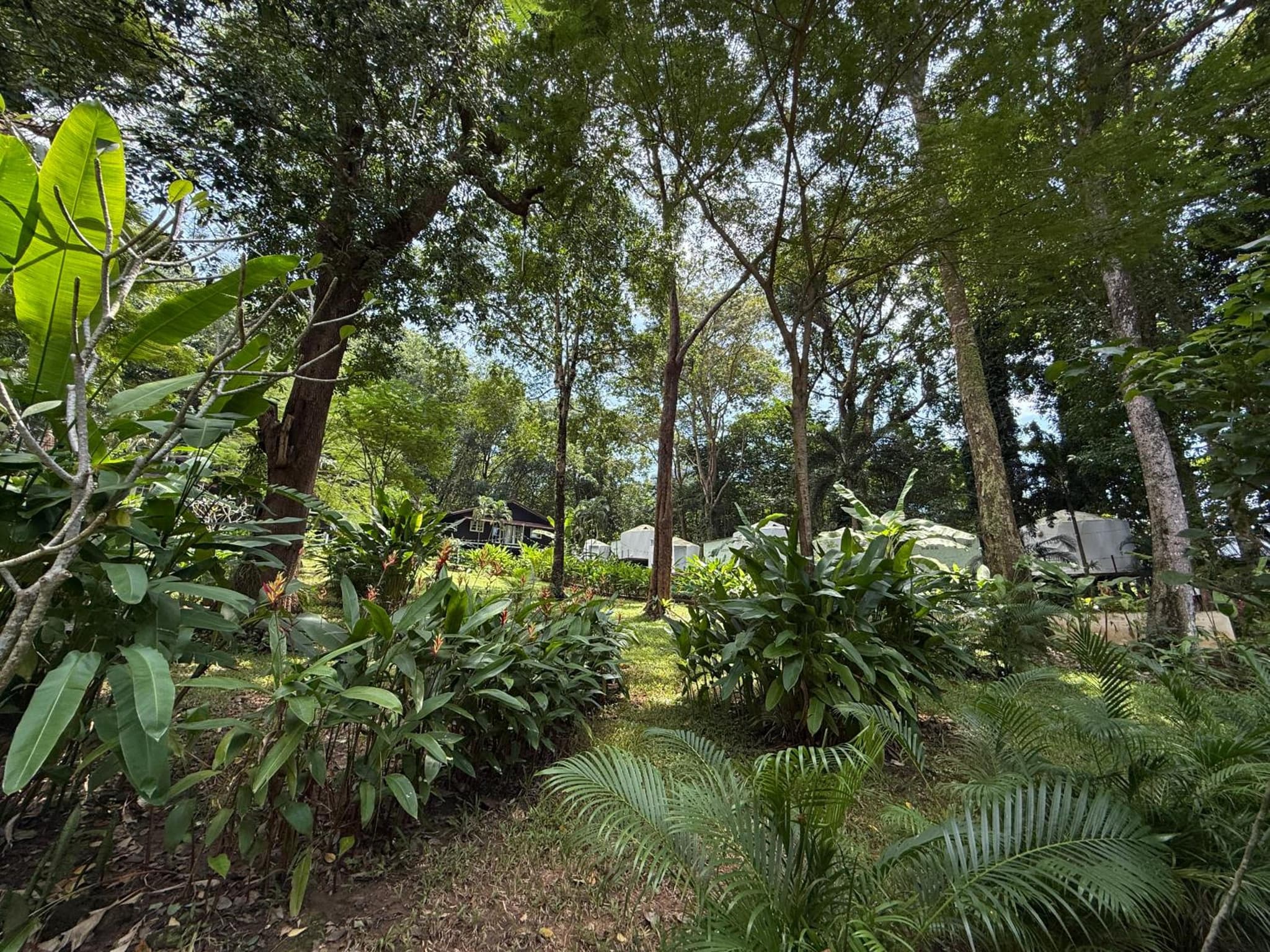Vanara Resort photo 9