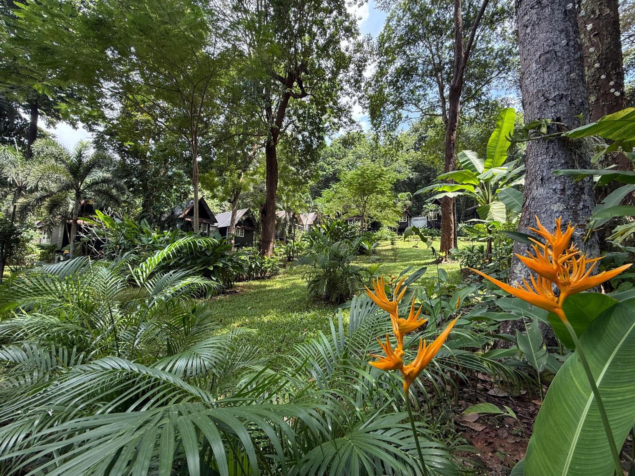 Vanara Resort