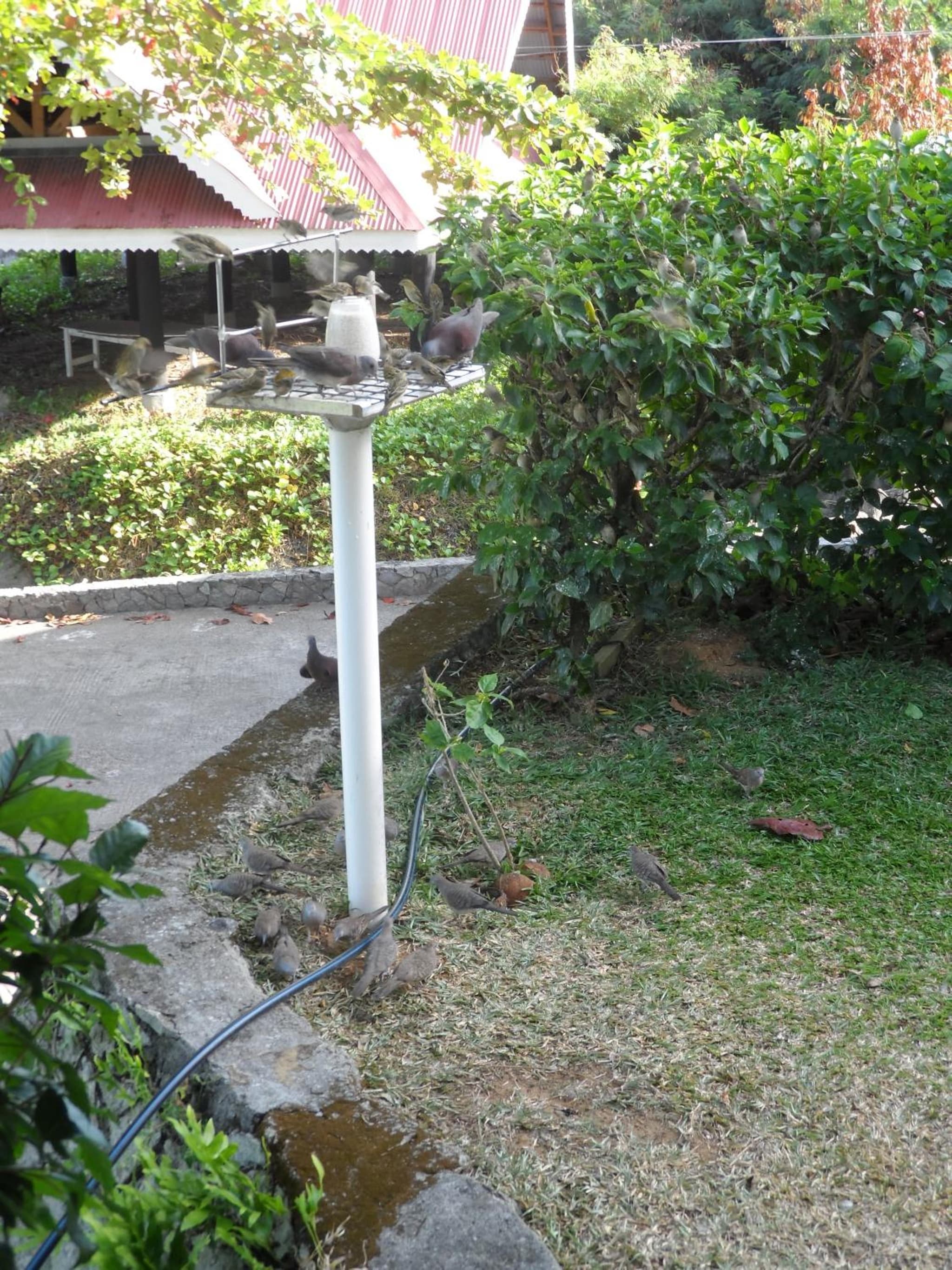 Divers Lodge Guest House photo 5