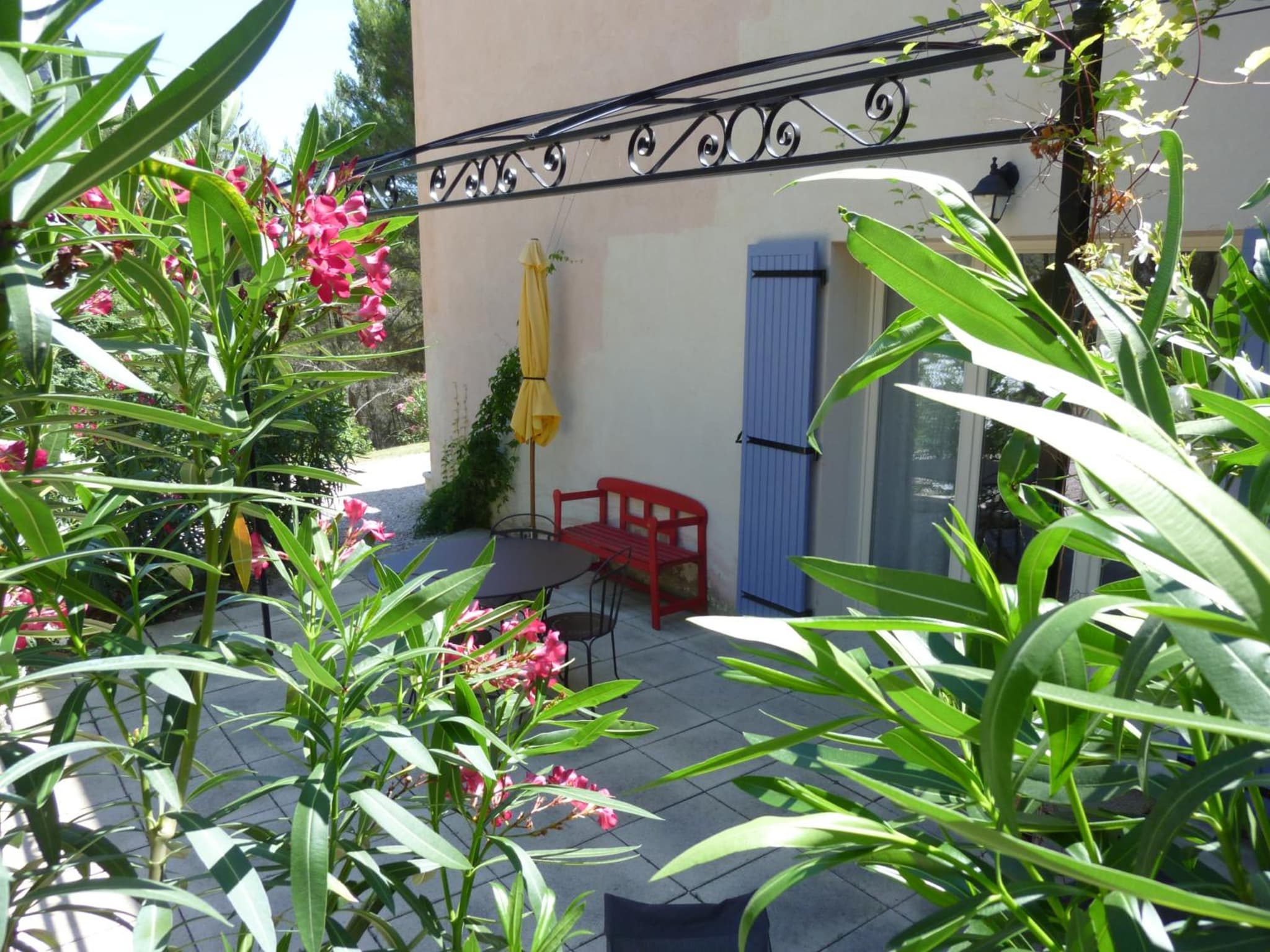 La Pinède du Barroux photo 8