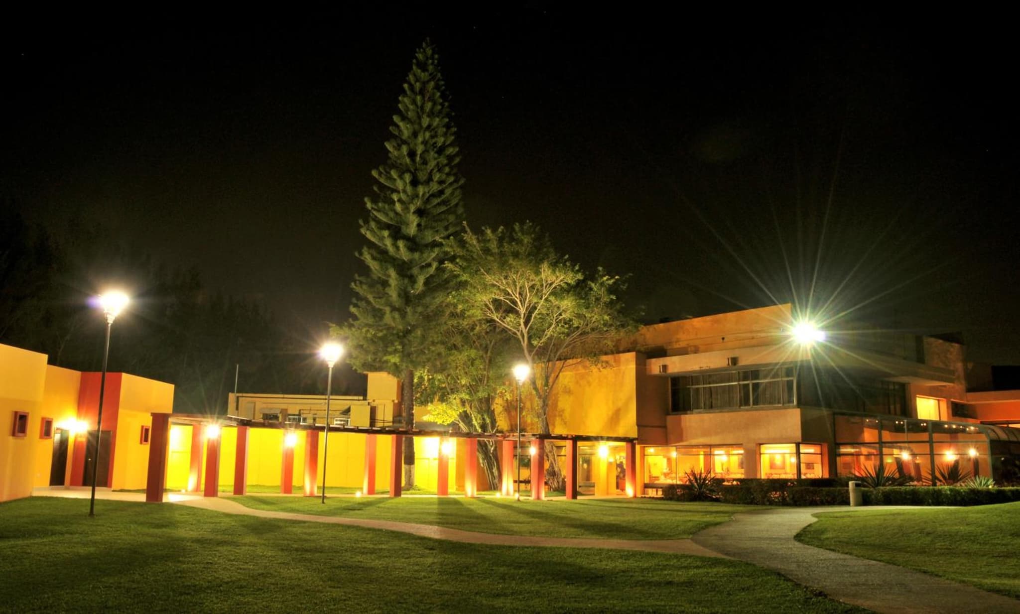 Hotel Terranova photo 9