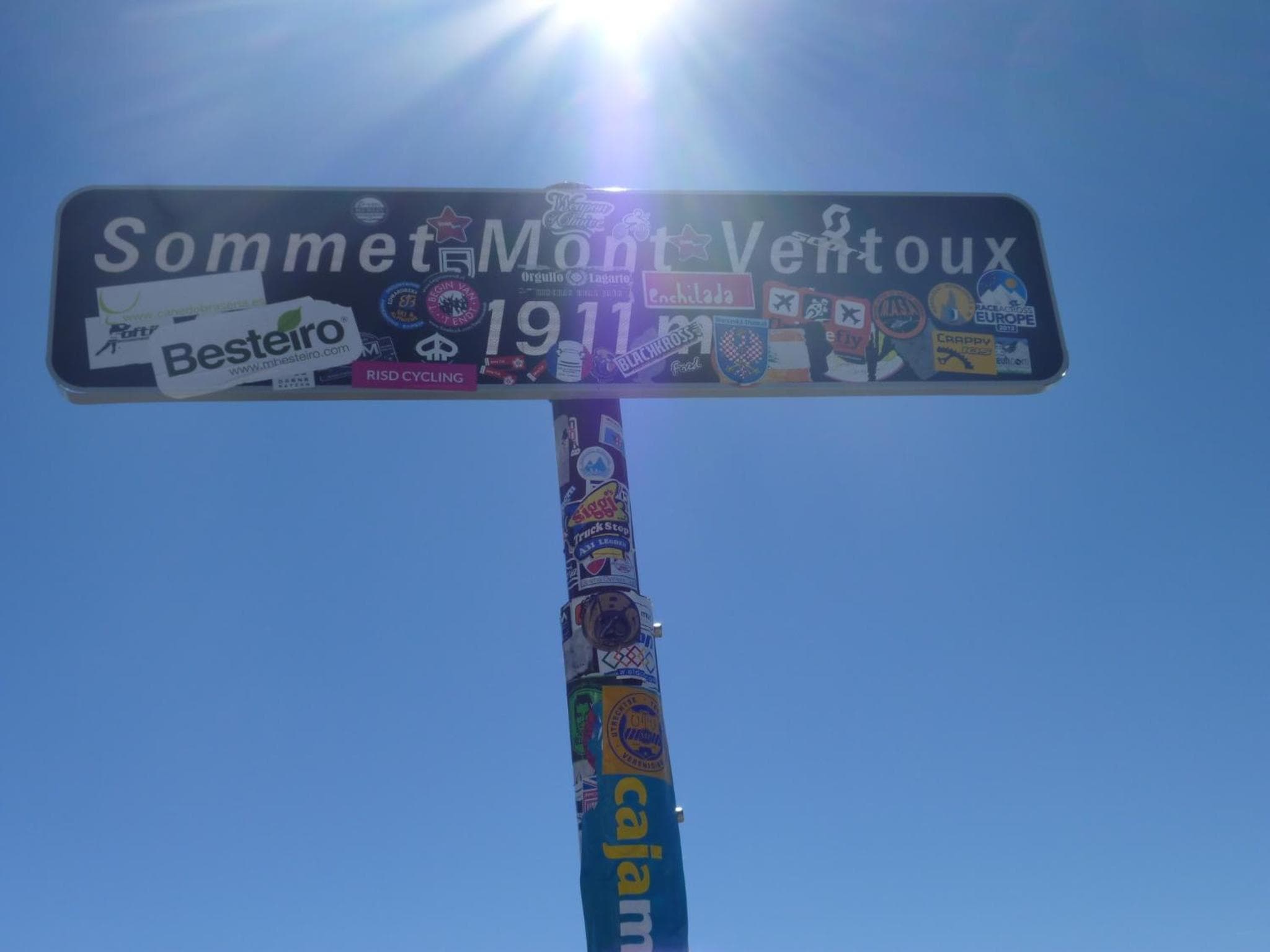 La Pinède du Barroux photo 5