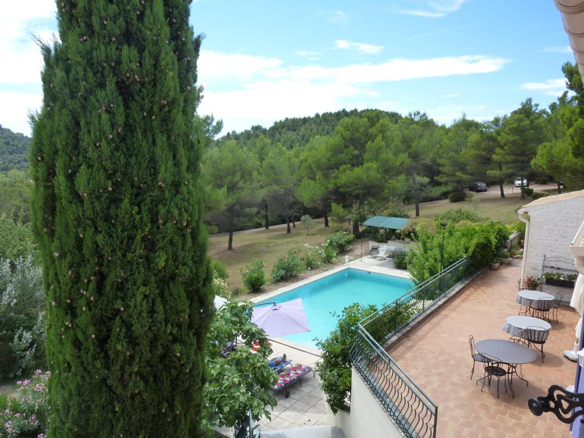 La Pinède du Barroux photo 3