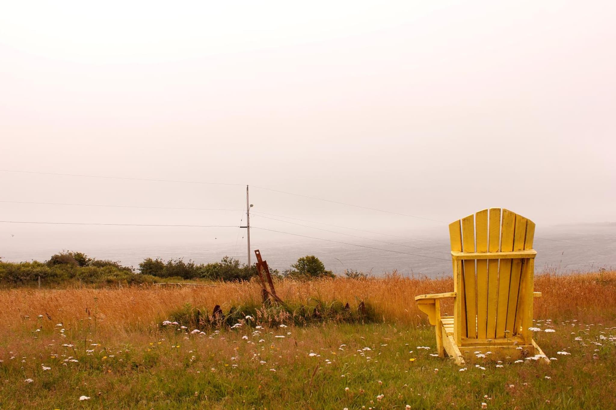 Brier Island Lodge photo 2