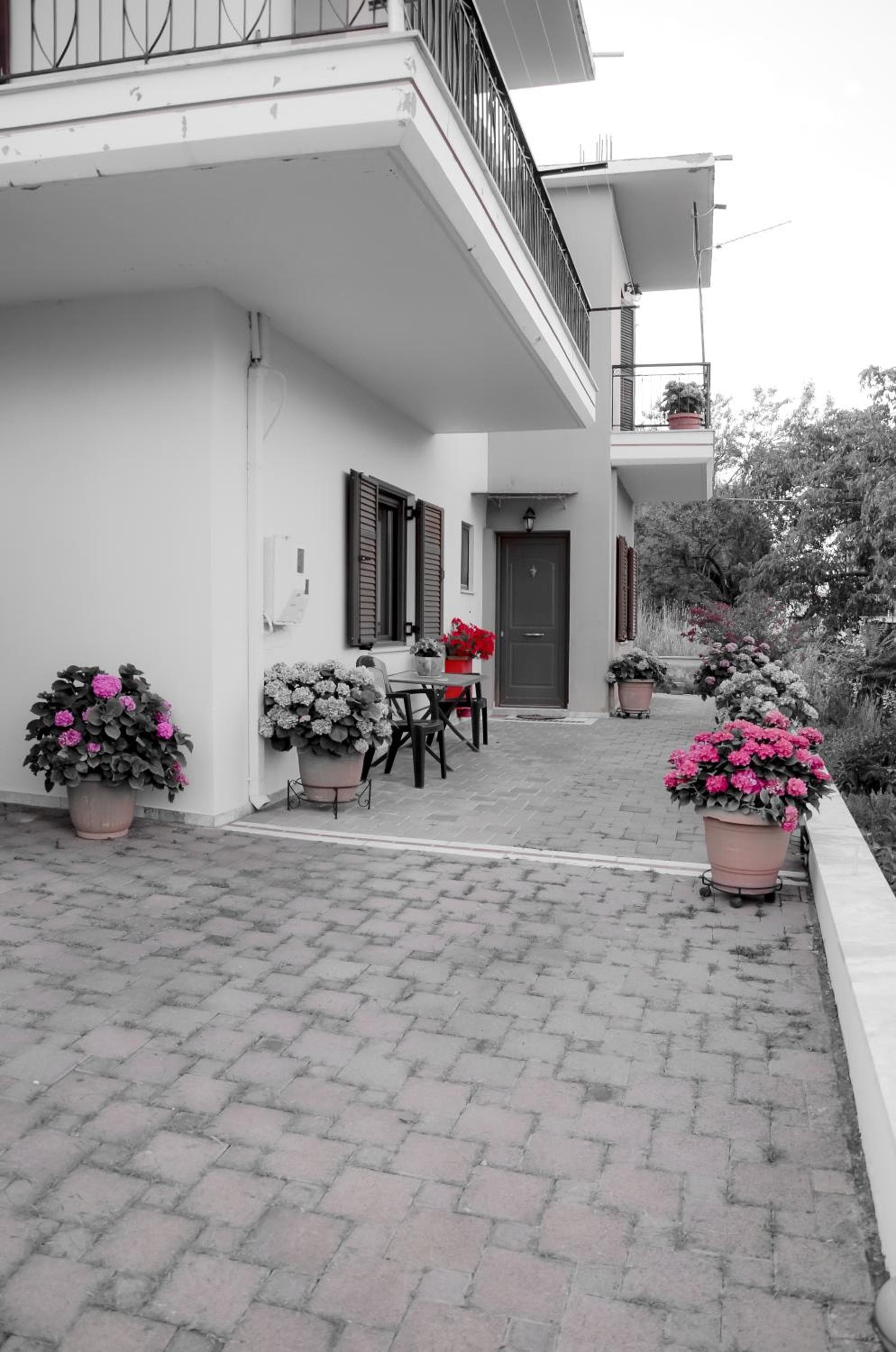 Nefeli photo 7