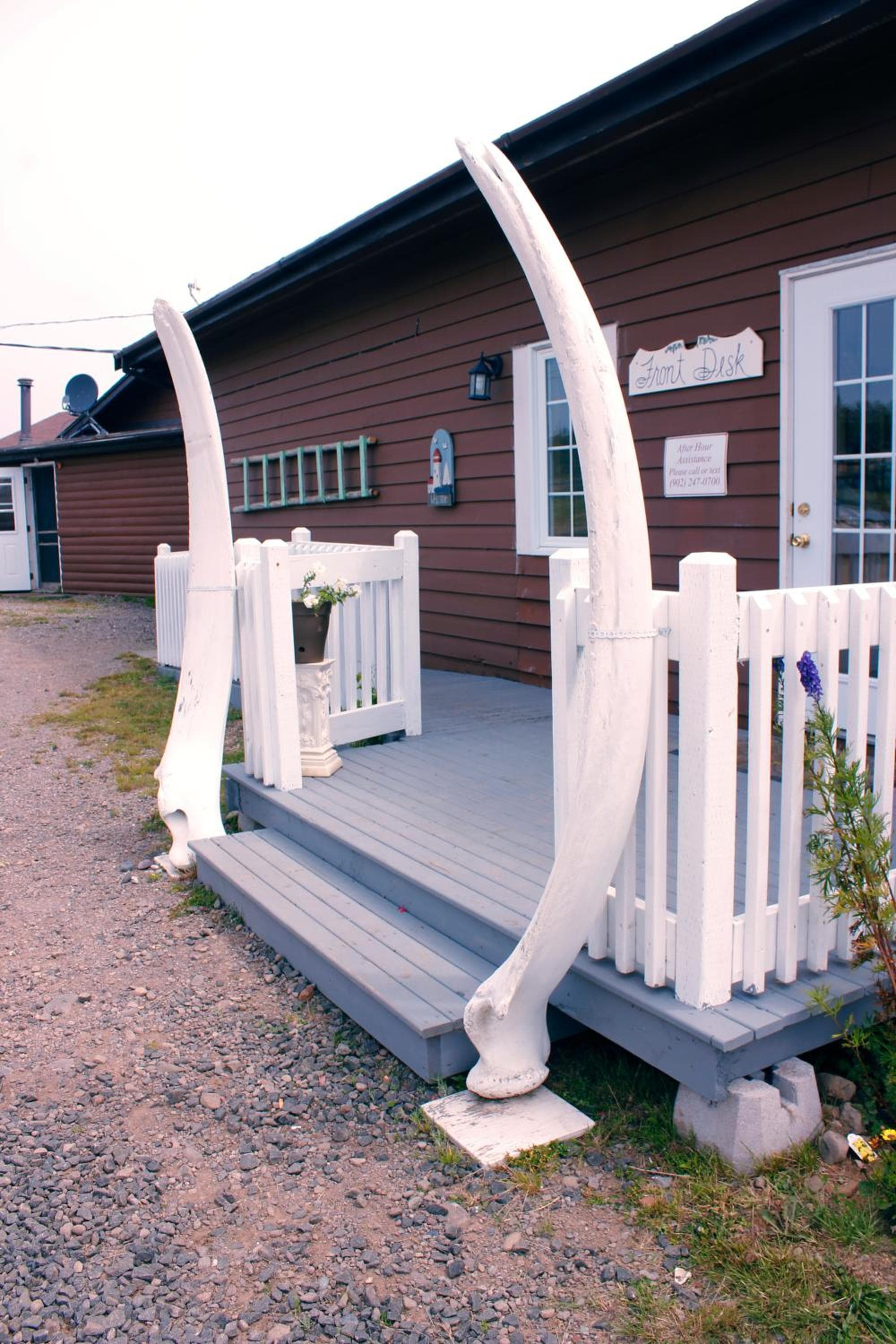 Brier Island Lodge photo 6