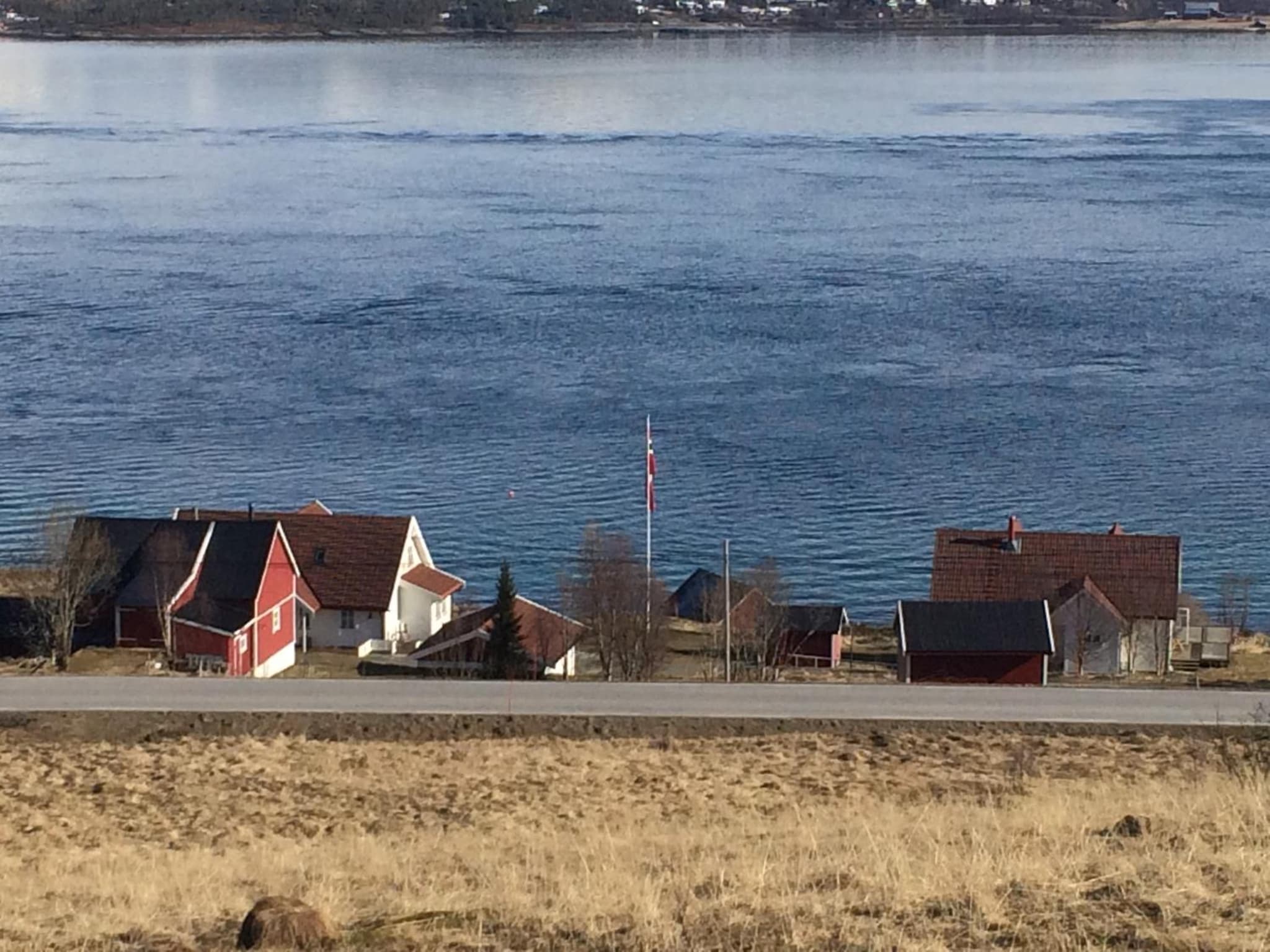 Bustad photo 3
