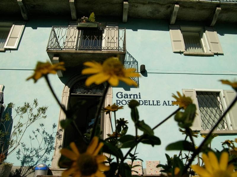 Garni Rosa Delle Alpi photo 3
