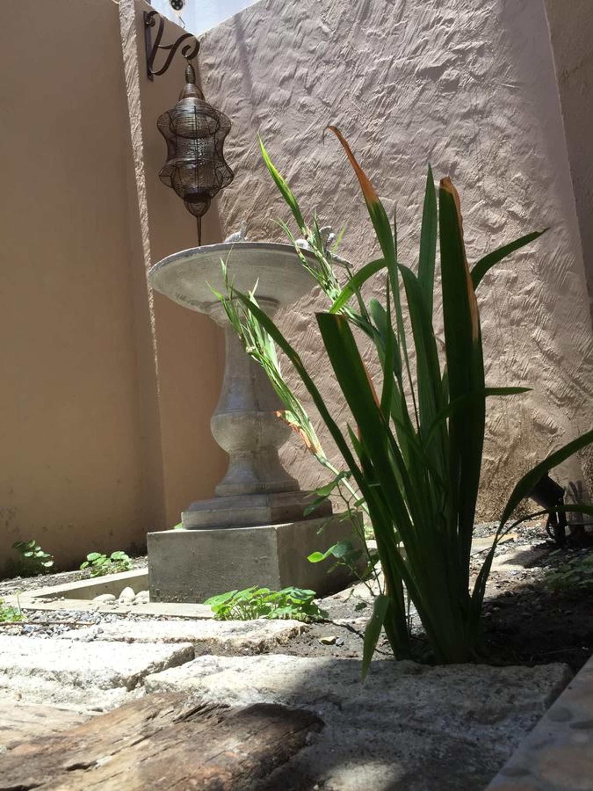 Pretty Nanwan B&B photo 4