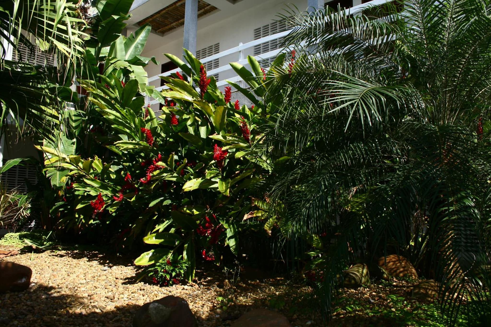 Delphin Beach Hotel photo 6