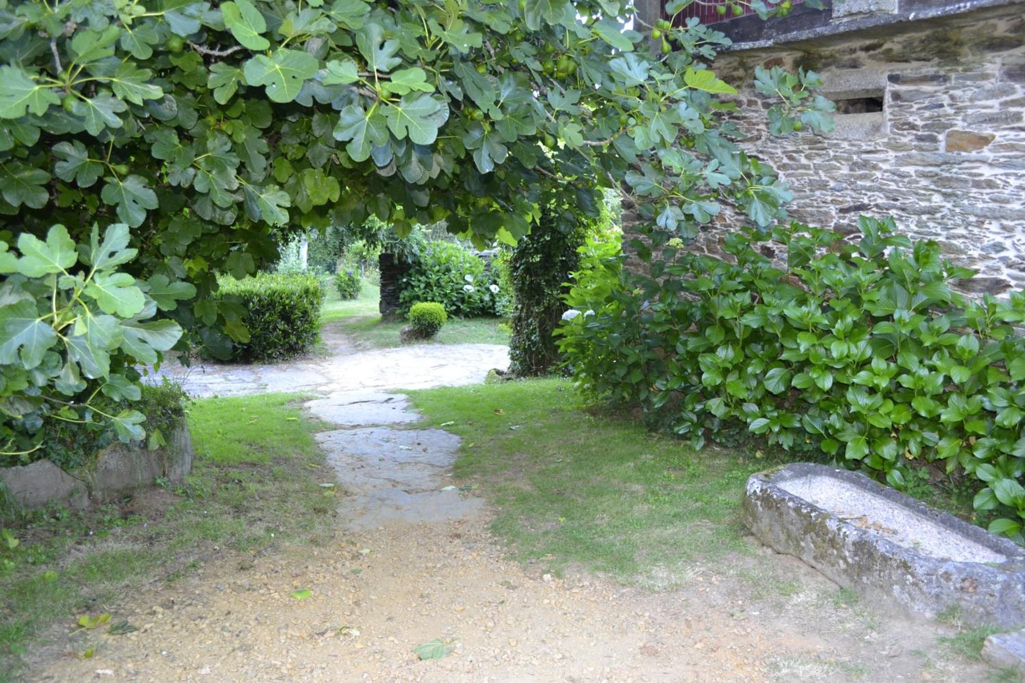 A Pena de Augasantas photo 4