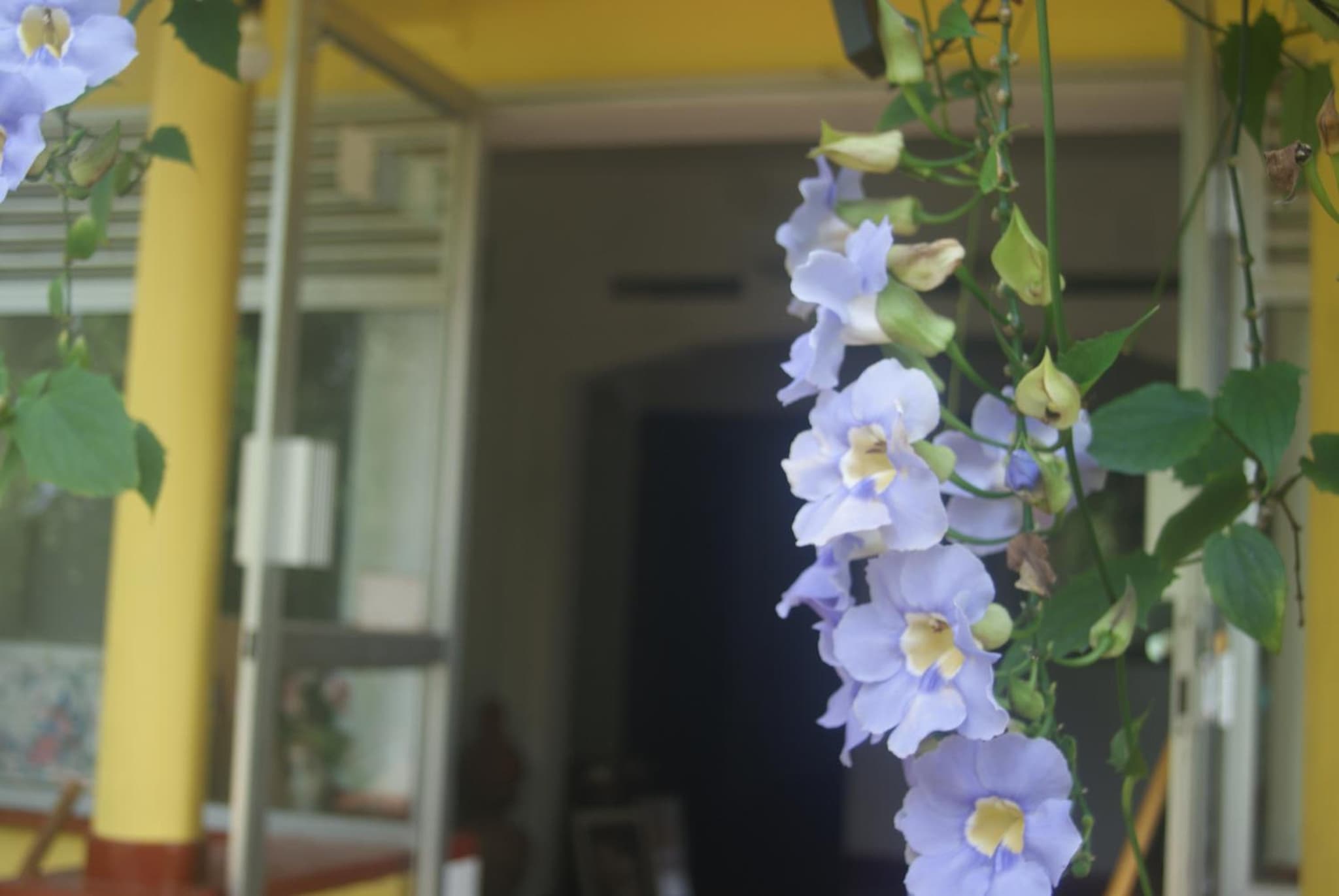 Ananda Home Stay and Restaurant photo 6