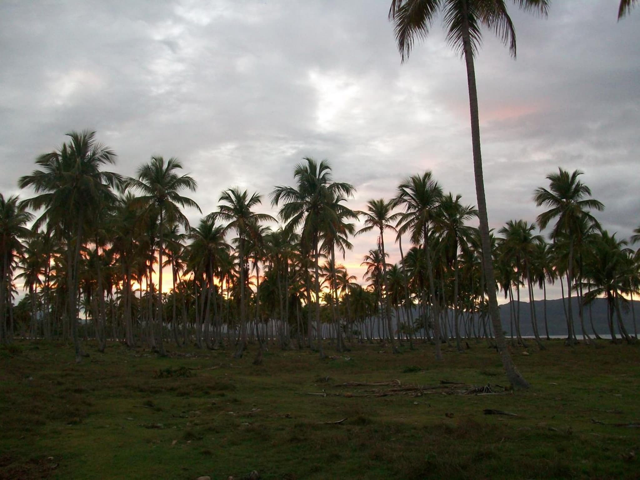 Villa La Caleta photo 4
