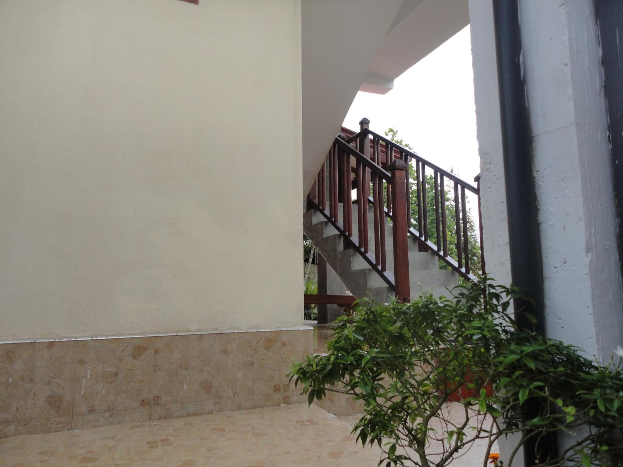Sapara River Guest photo 3