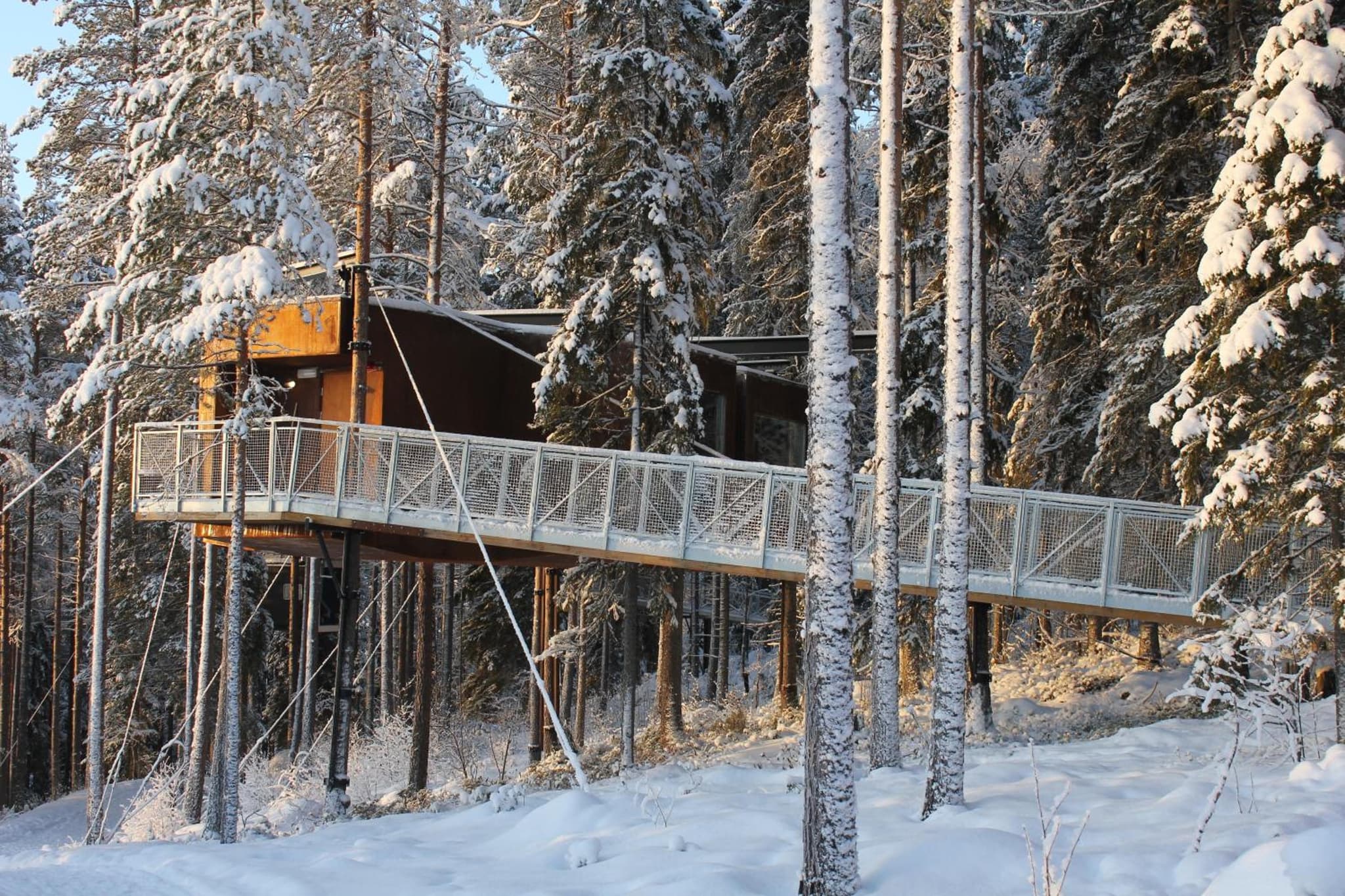 Treehotel photo 6