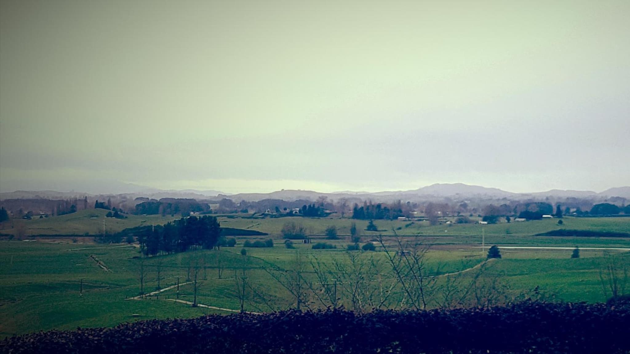 Waitomo Orchard Estate B&B photo 8