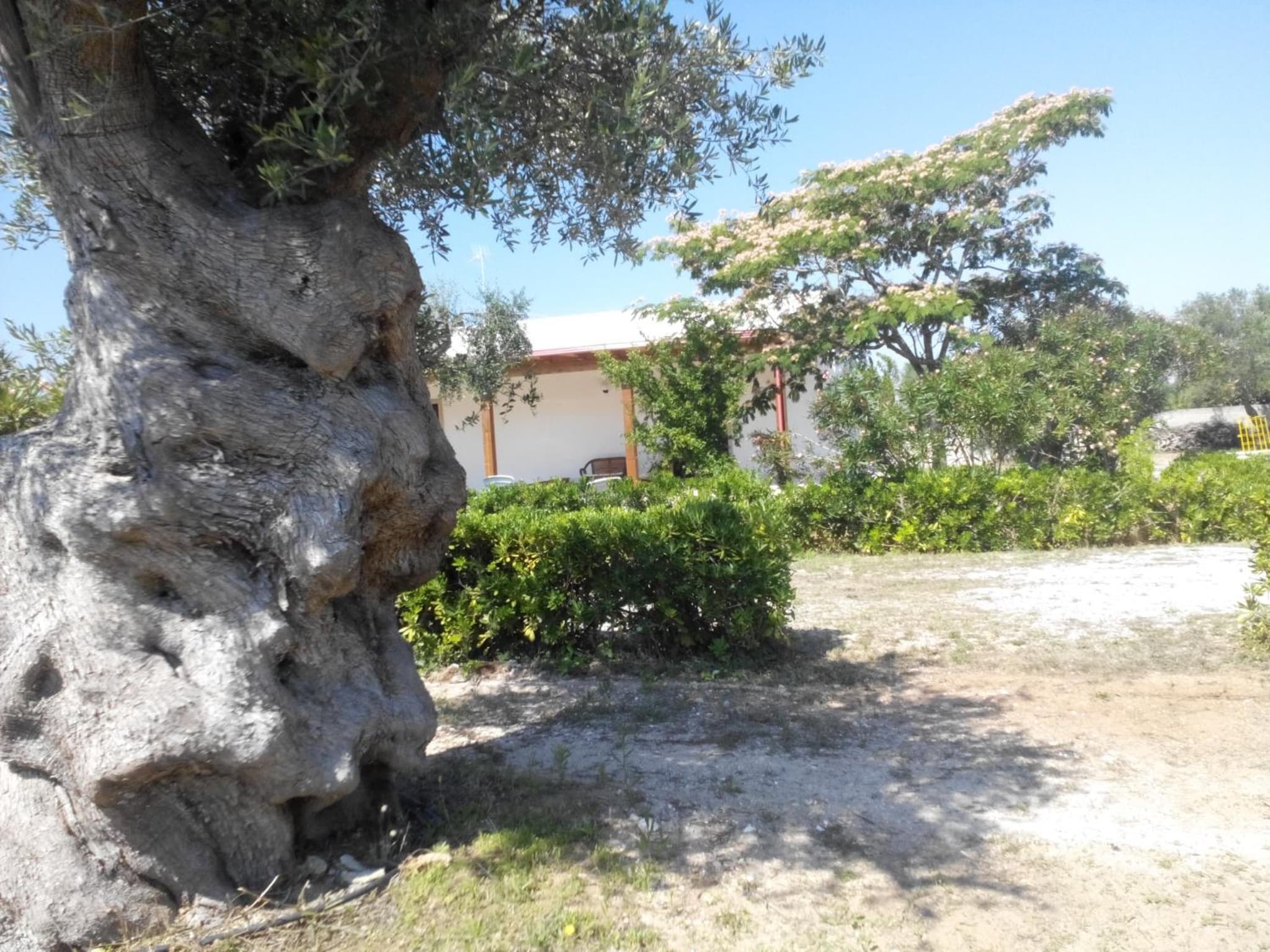 Agriturismo Villa Tommaso photo 5