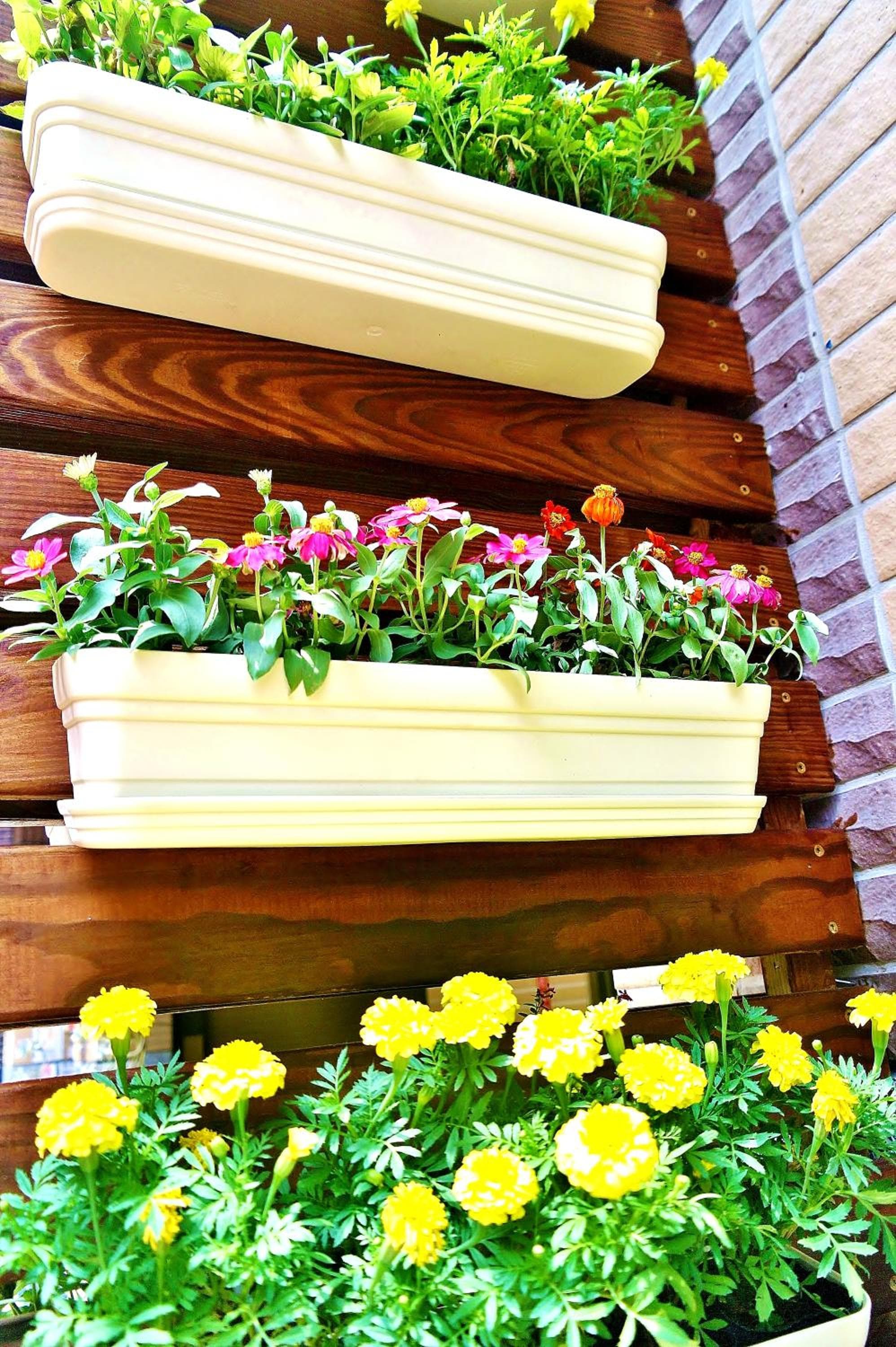Chinhsi Homestay photo 2