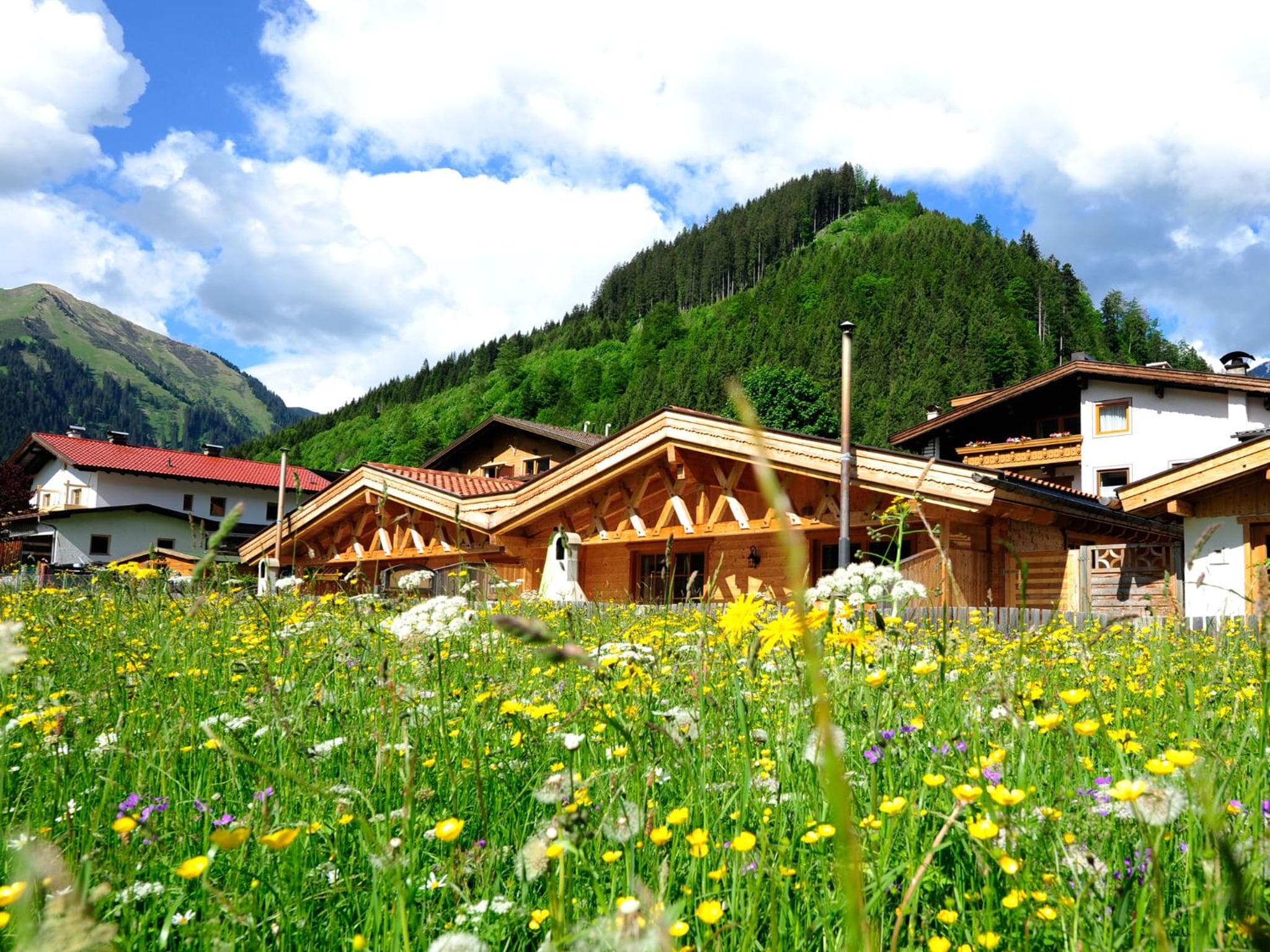 Luxury Chalets Wiesenruh photo 5