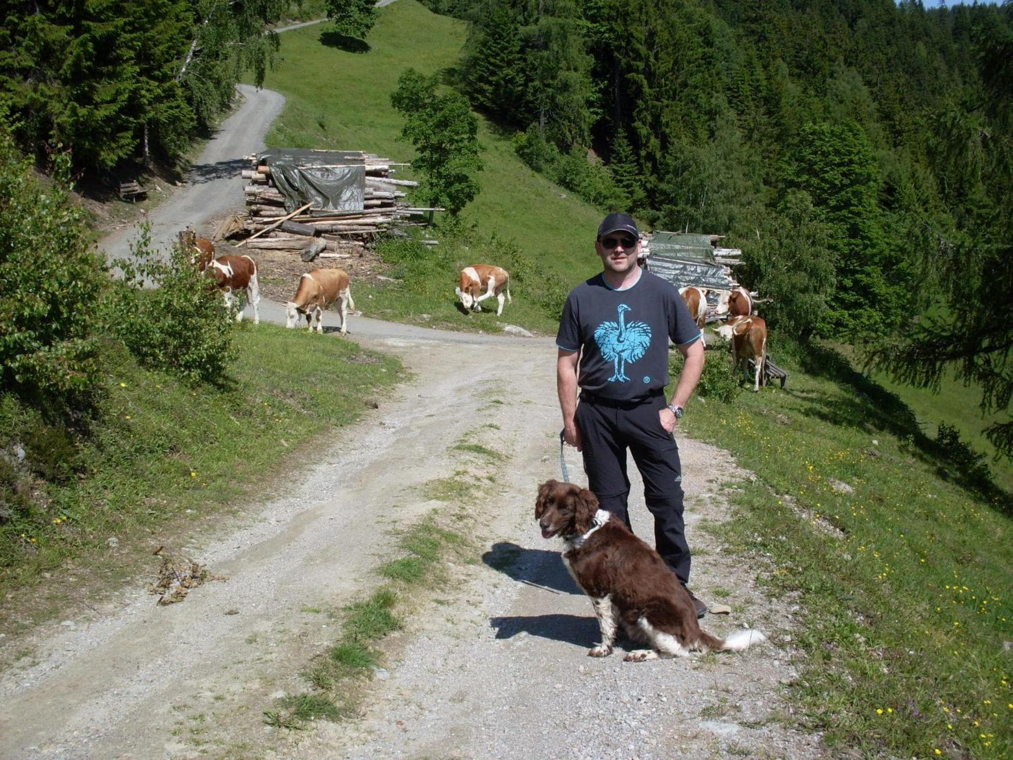 Pension Bergbauernhof Irxner photo 2