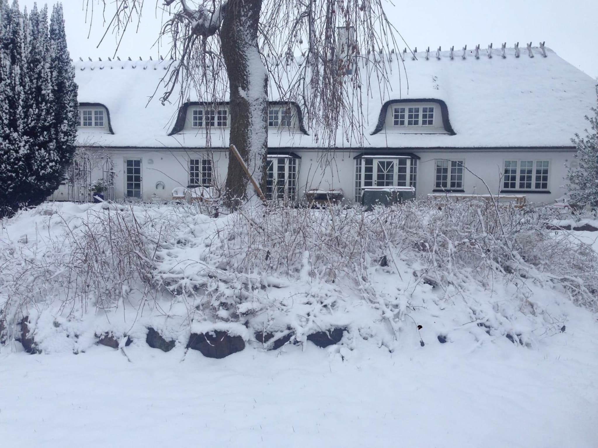 Rane Ladegaard photo 5