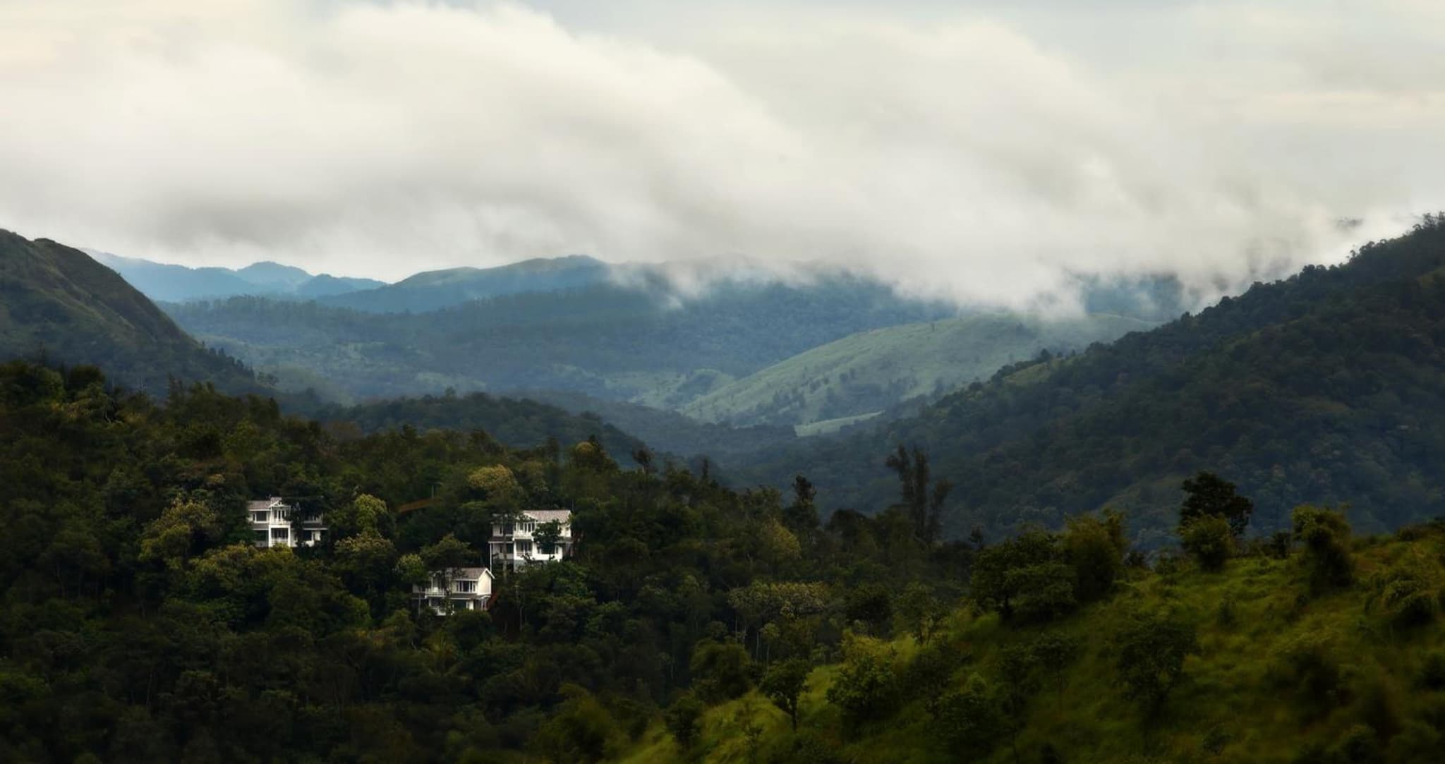 Hills & Hues
