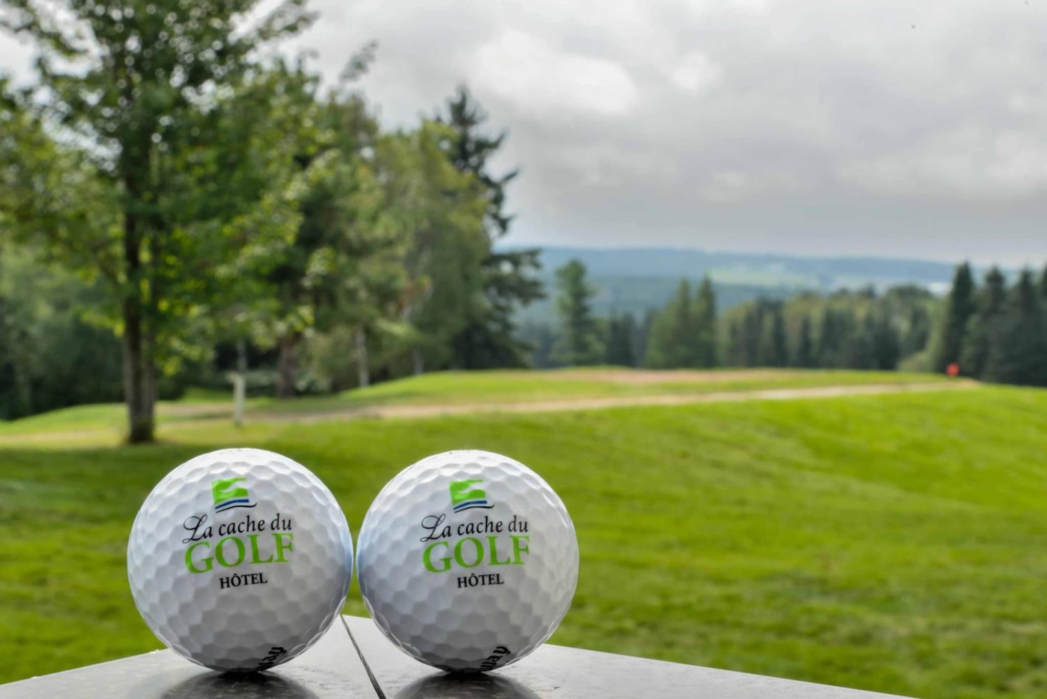La Cache du Golf photo 8