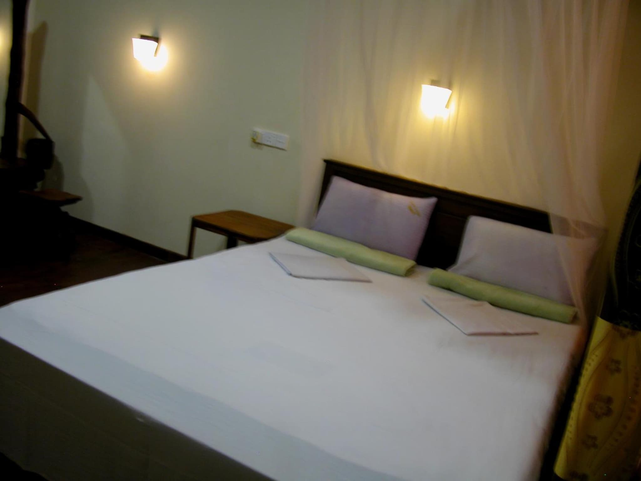 Sigiri Lion Lodge photo 5