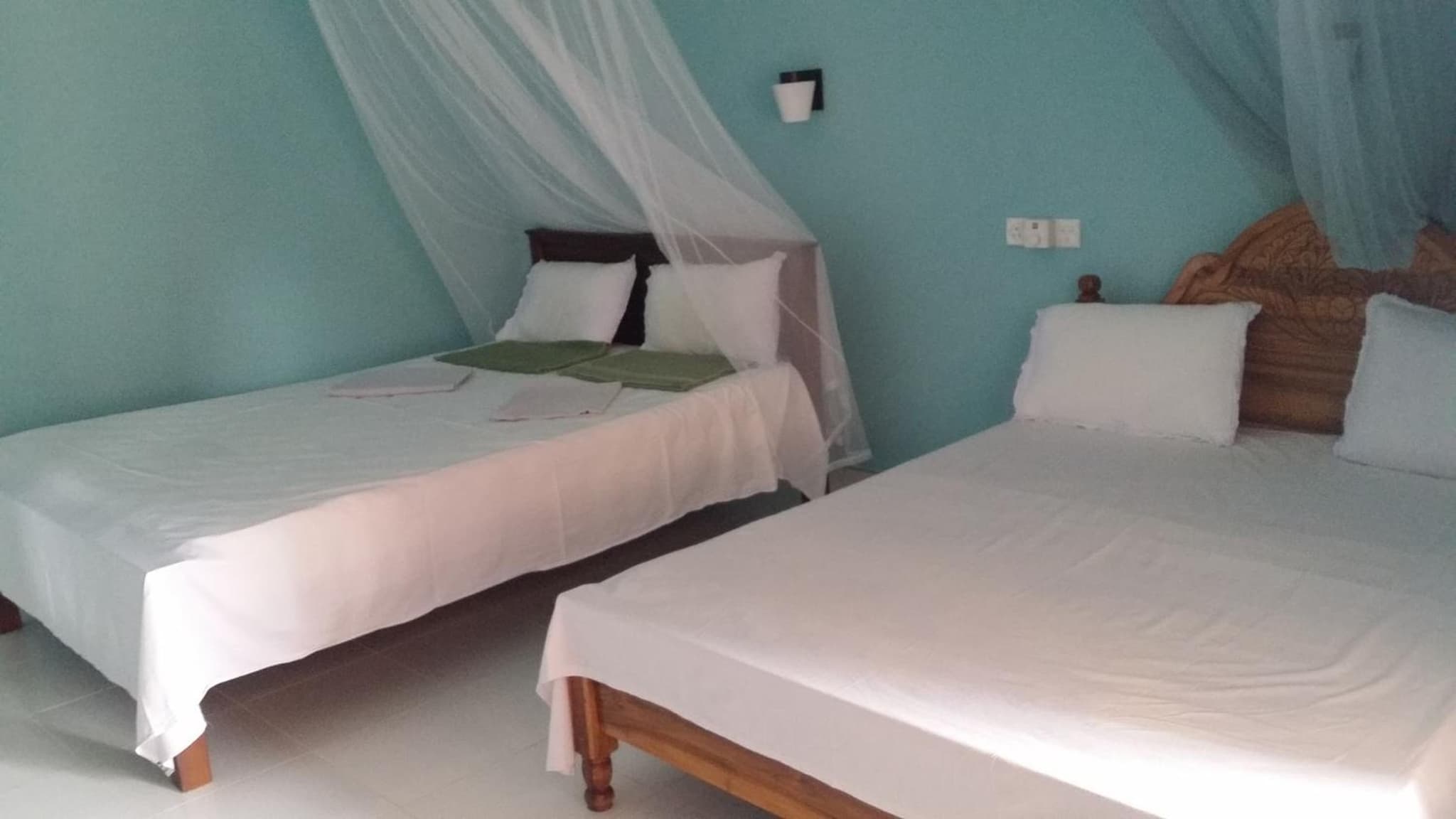 Sigiri Lion Lodge photo 3