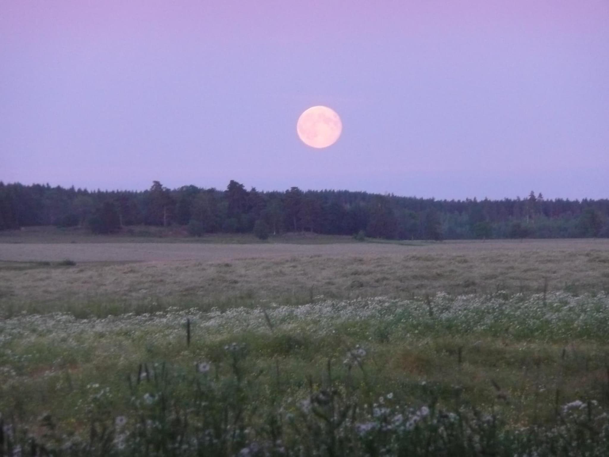 Skogis Bed & Breakfast photo 7