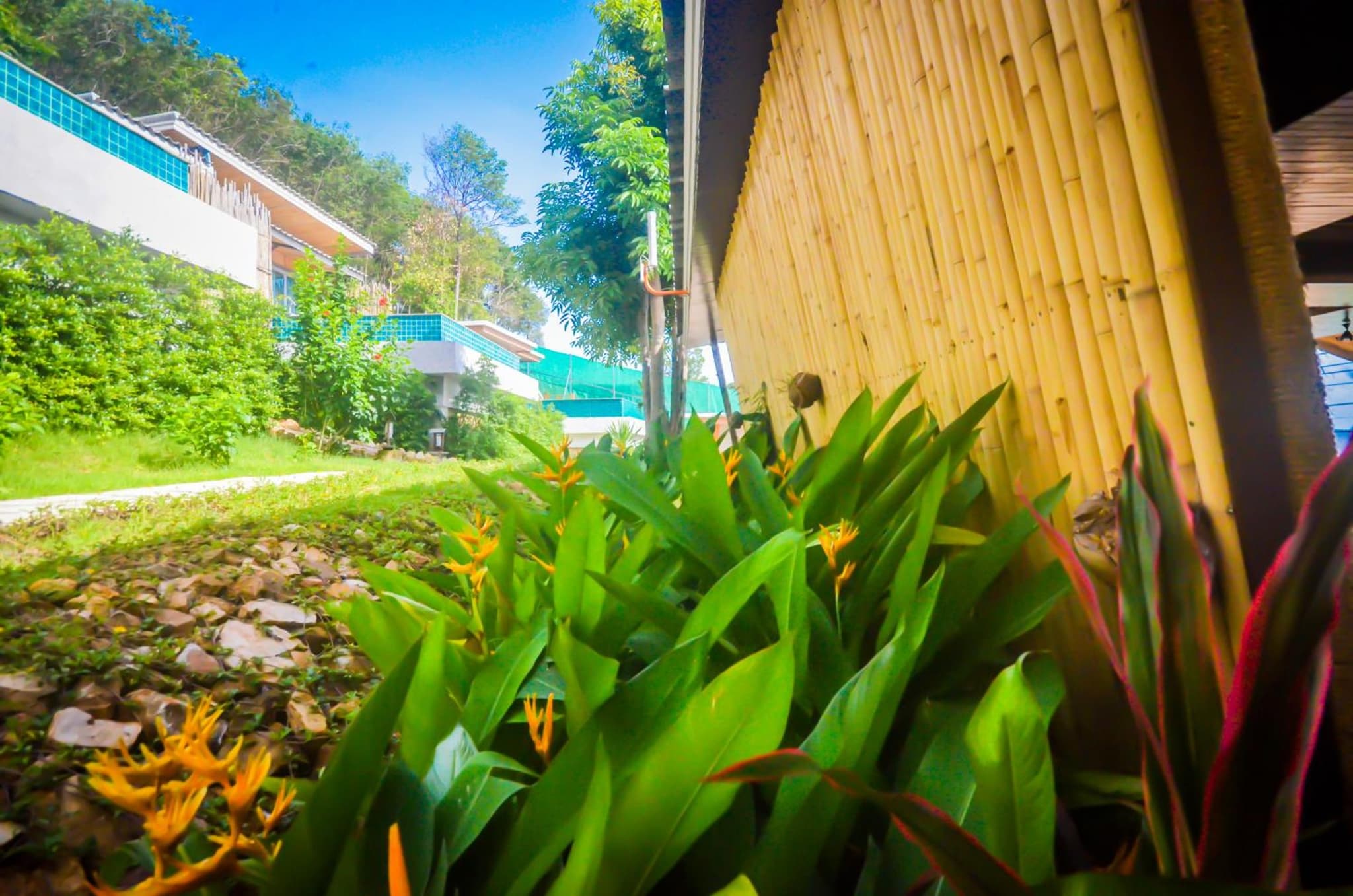 Koh Yao Yai Hillside Resort photo 5