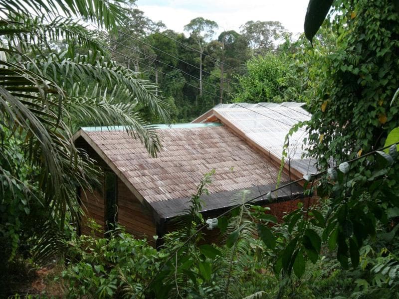 Paganakan Dii Tropical Retreat photo 2